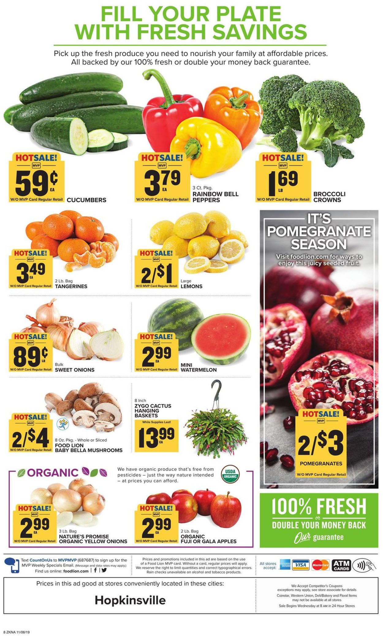 Catalogue Food Lion from 11/06/2019