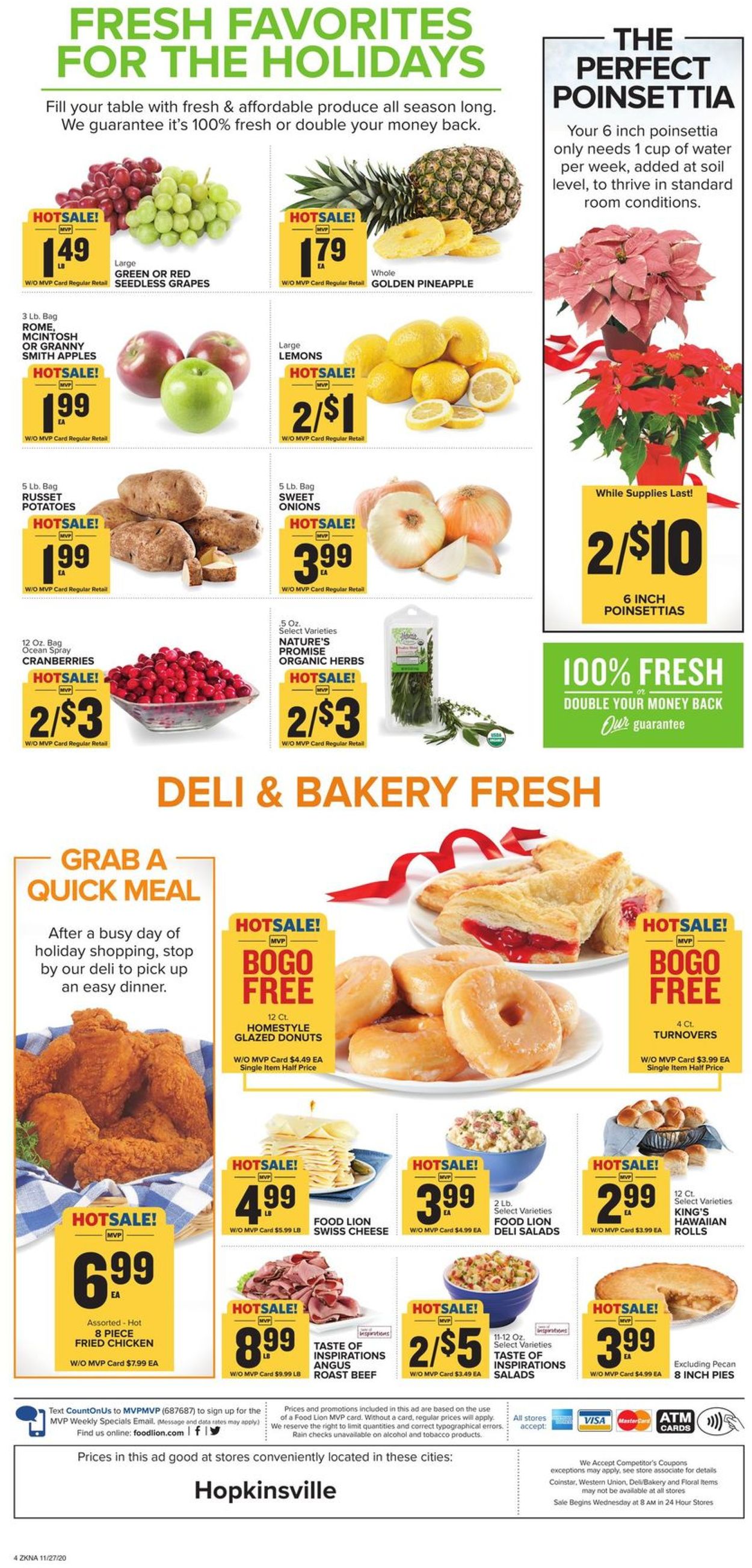 Catalogue Food Lion Black Friday 2020 from 11/27/2020