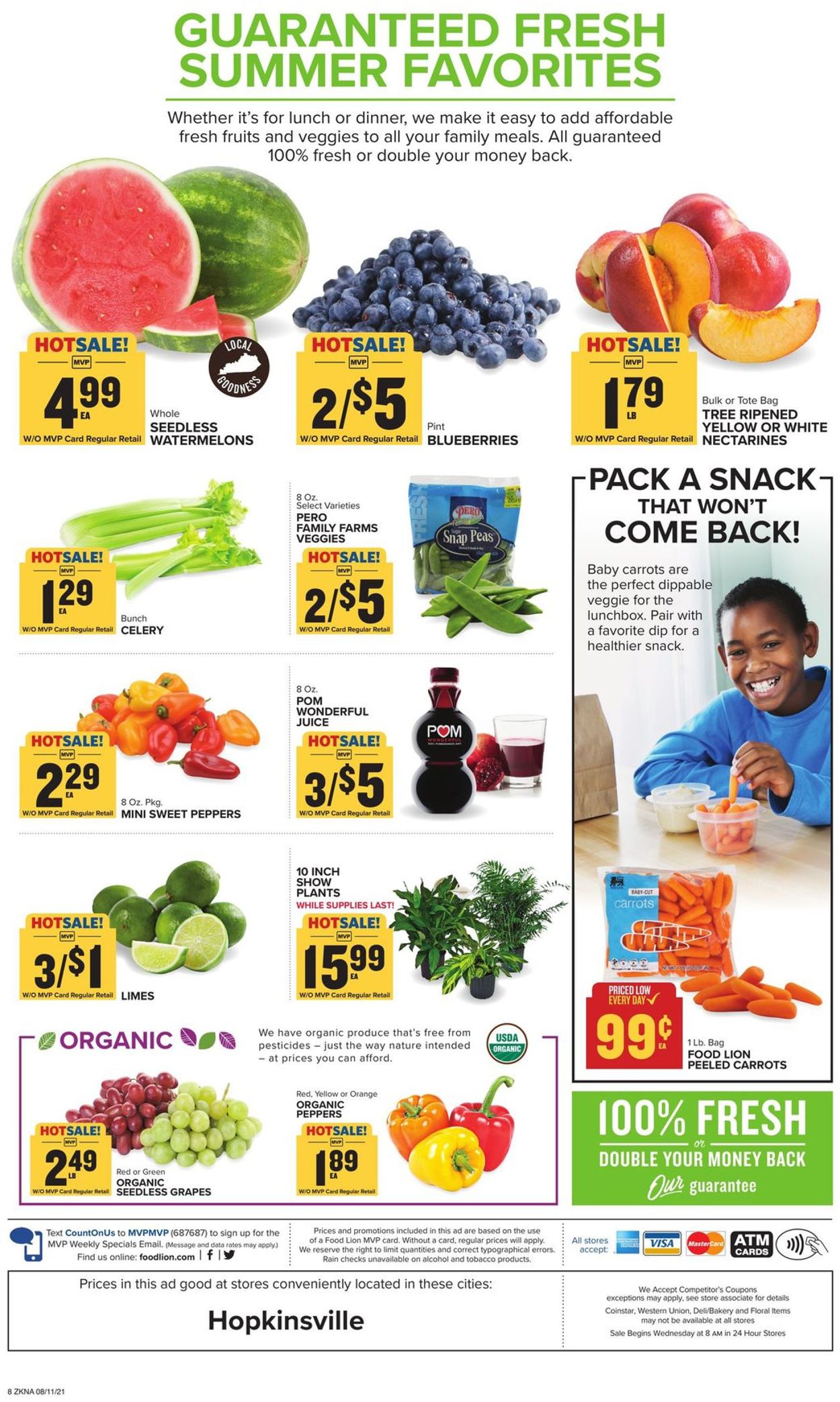 Catalogue Food Lion from 08/11/2021