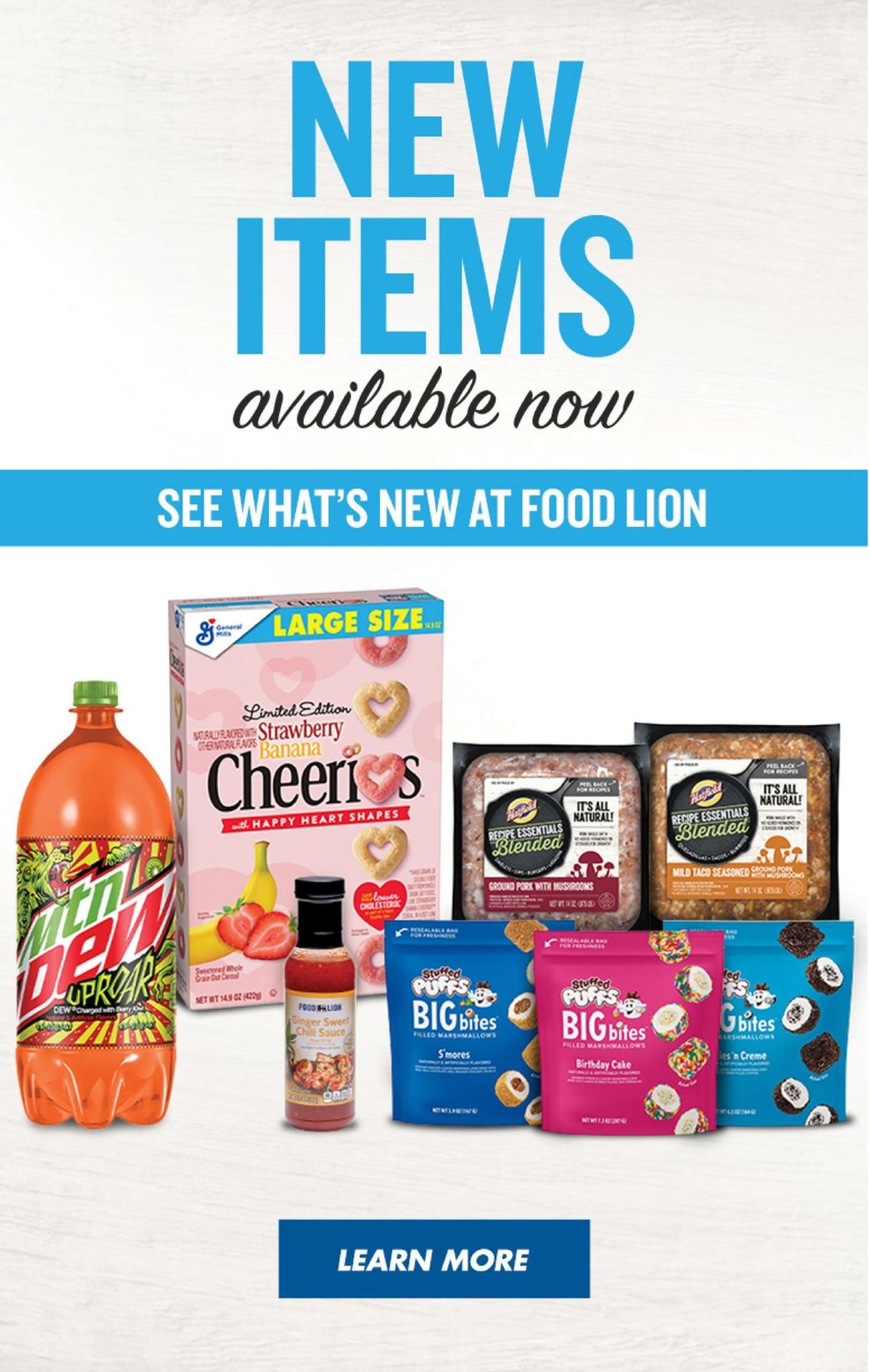 Catalogue Food Lion from 01/05/2022