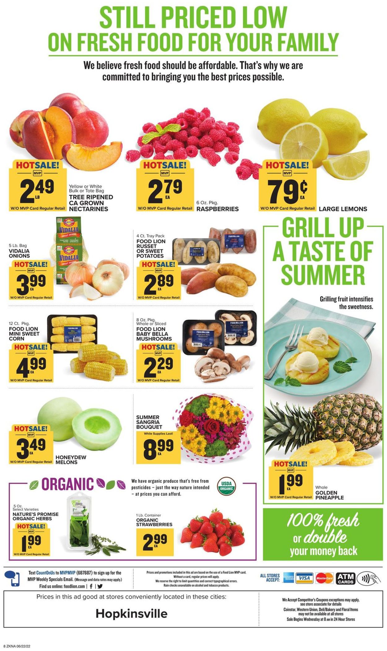 Catalogue Food Lion from 06/22/2022
