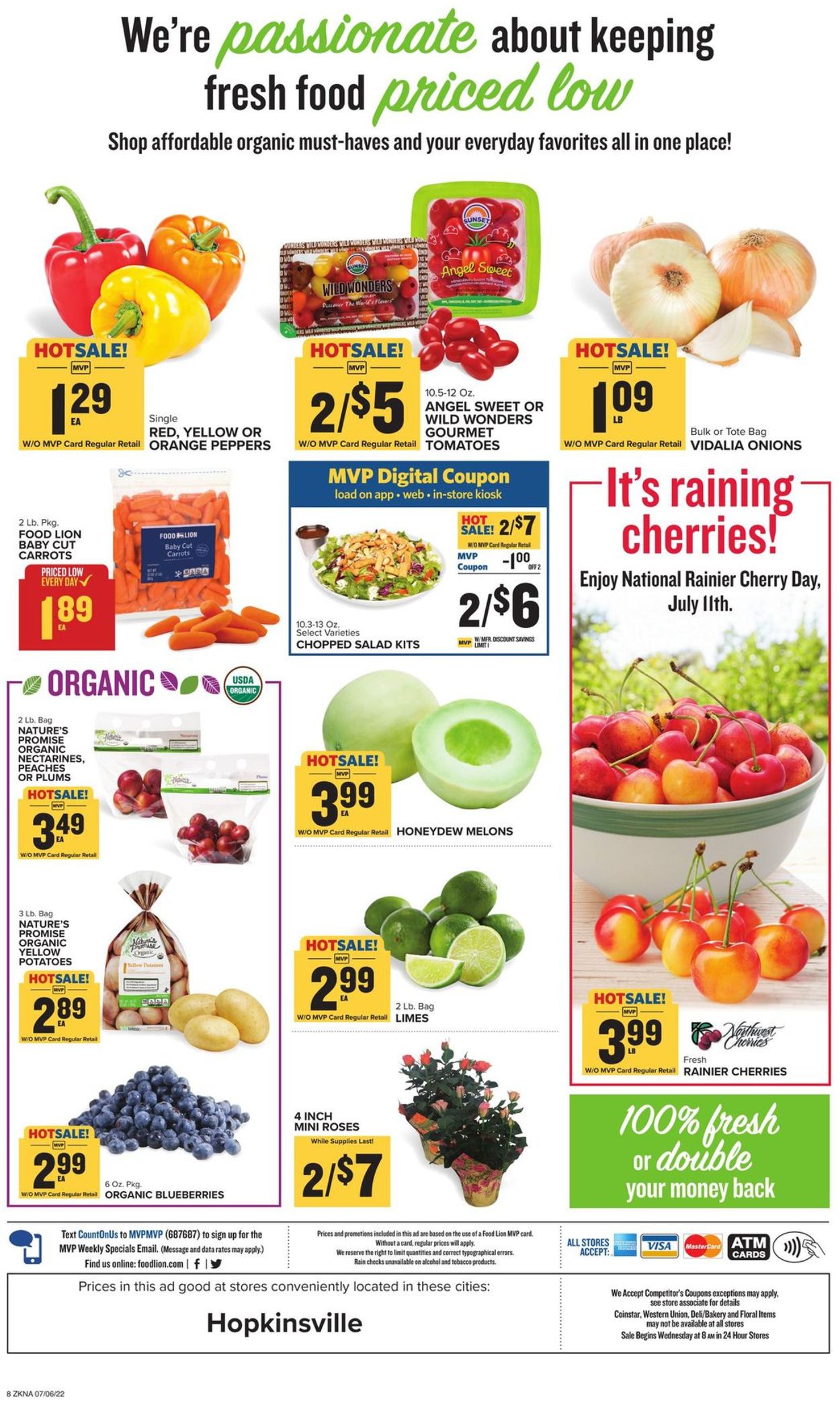 Catalogue Food Lion from 07/06/2022