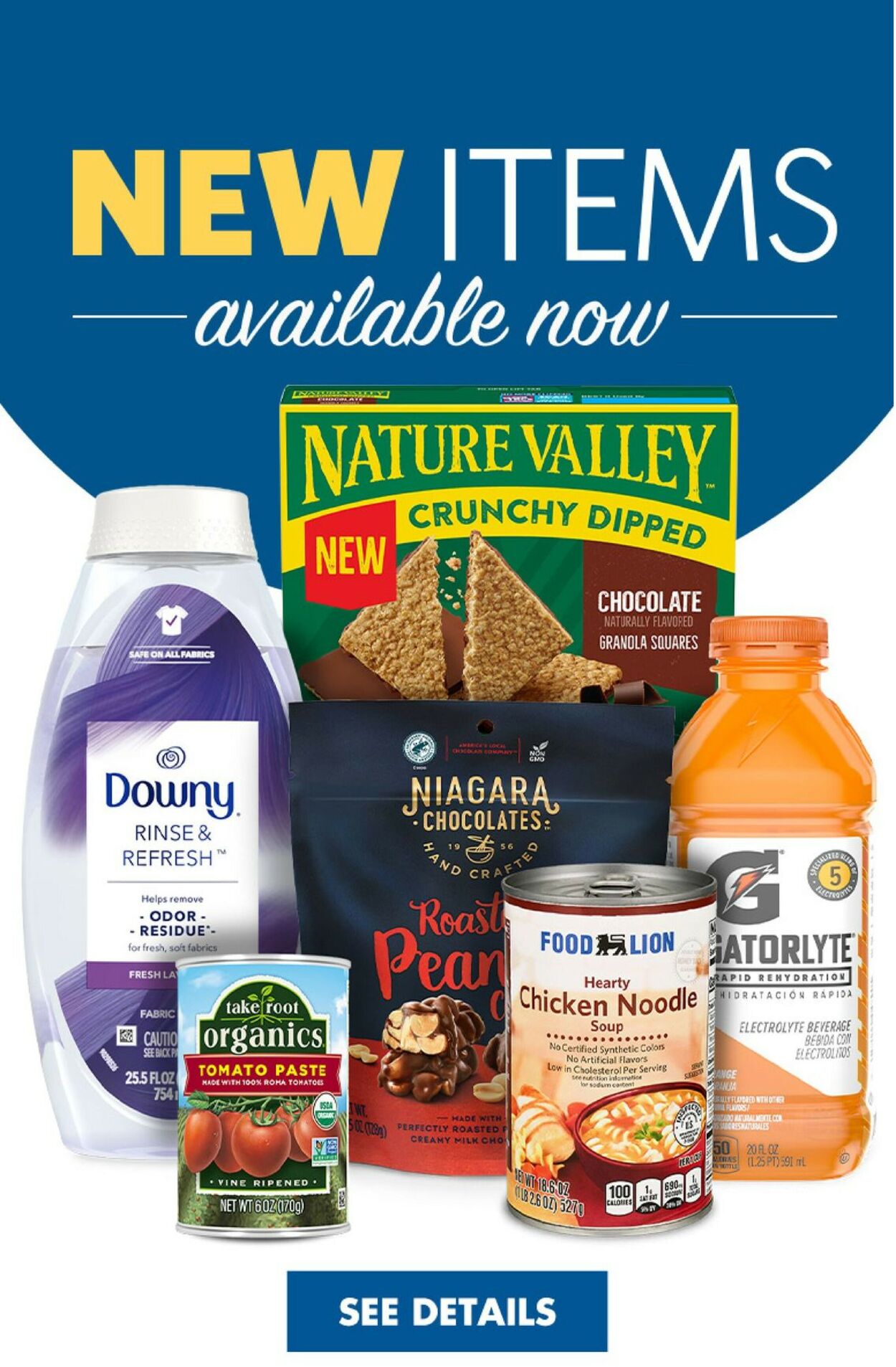 Catalogue Food Lion from 10/26/2022