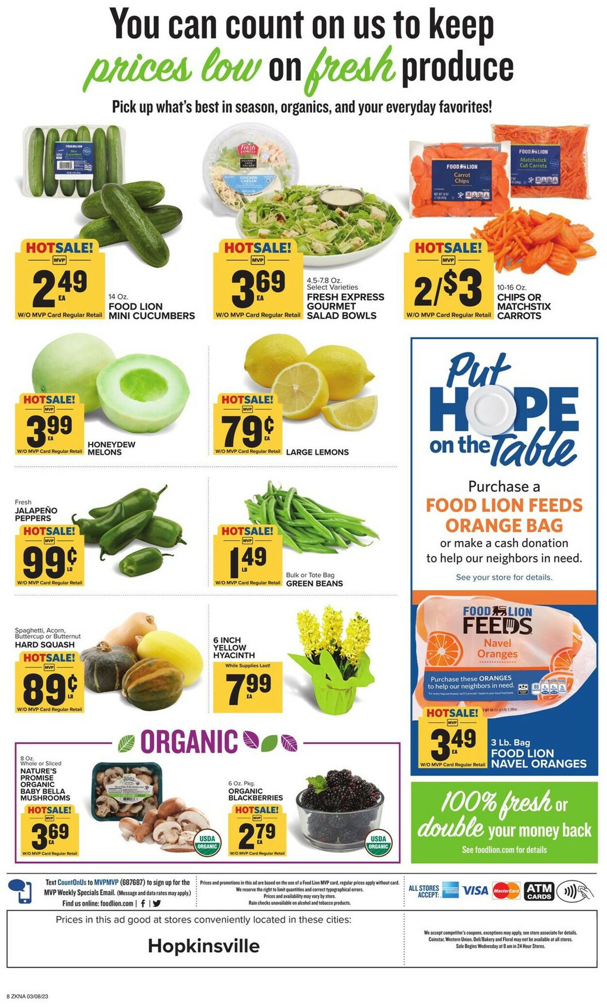 Catalogue Food Lion from 03/08/2023