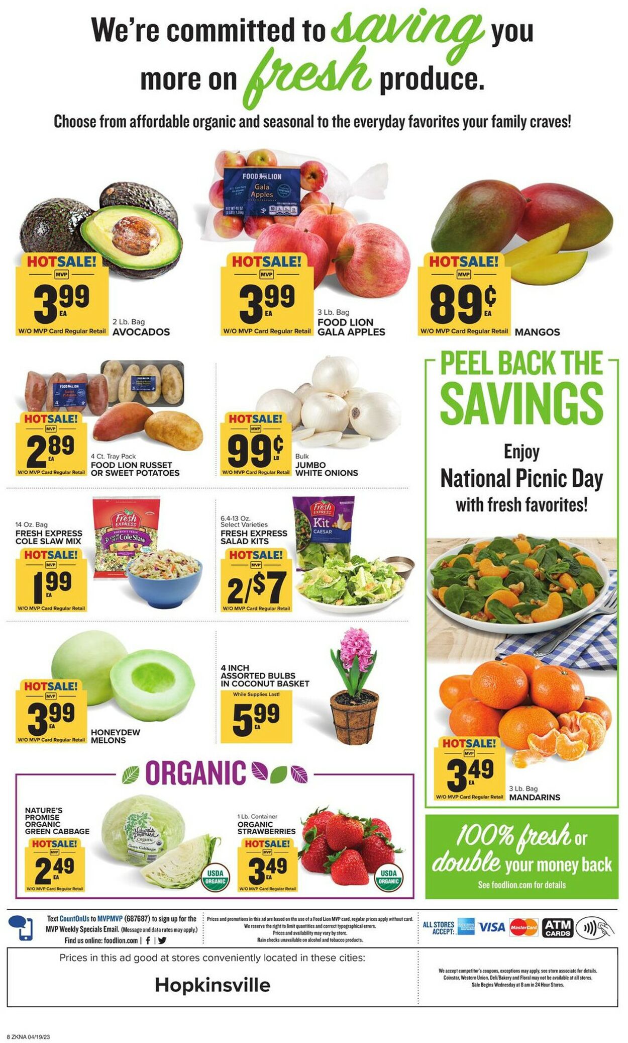 Catalogue Food Lion from 04/19/2023