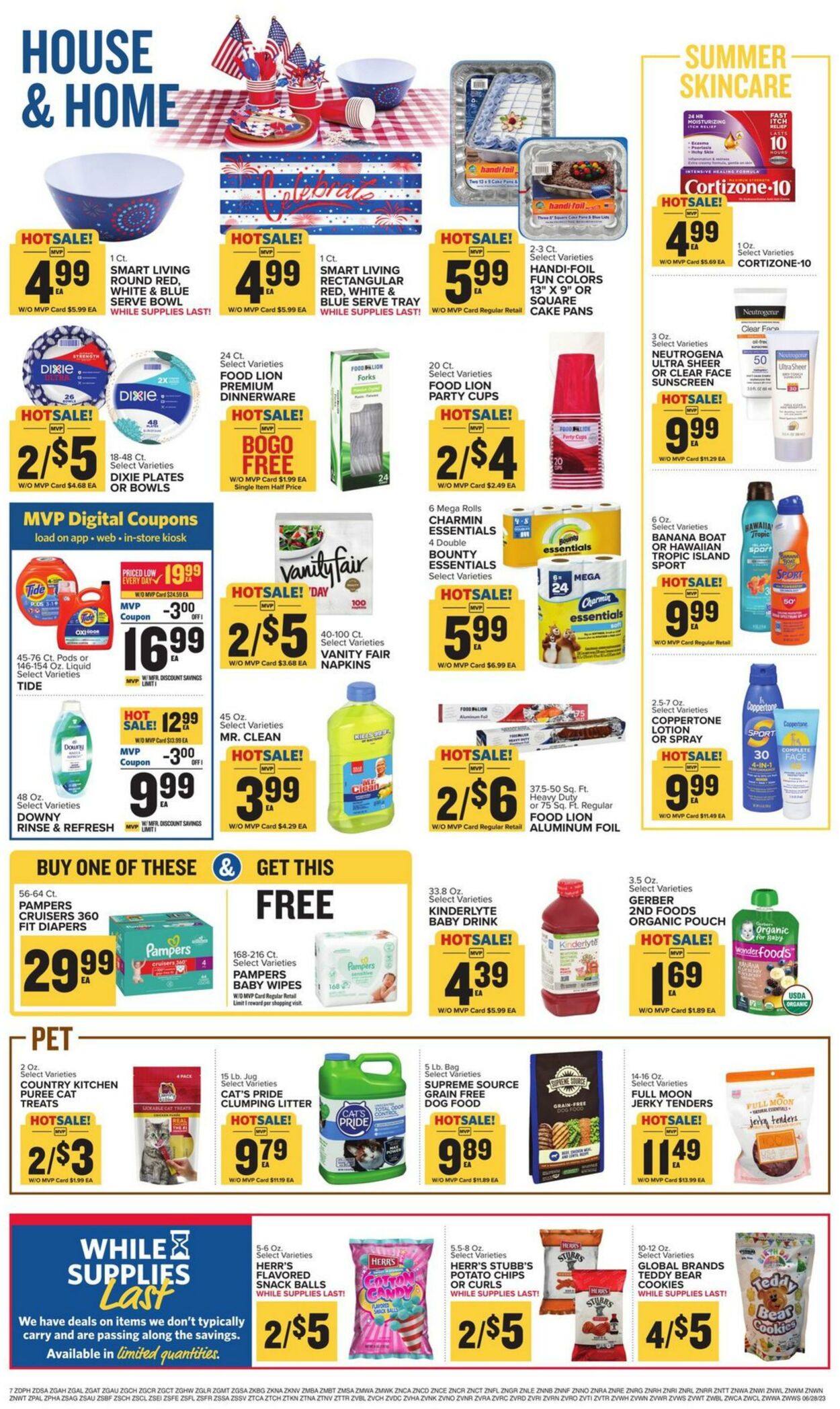 Catalogue Food Lion from 06/28/2023