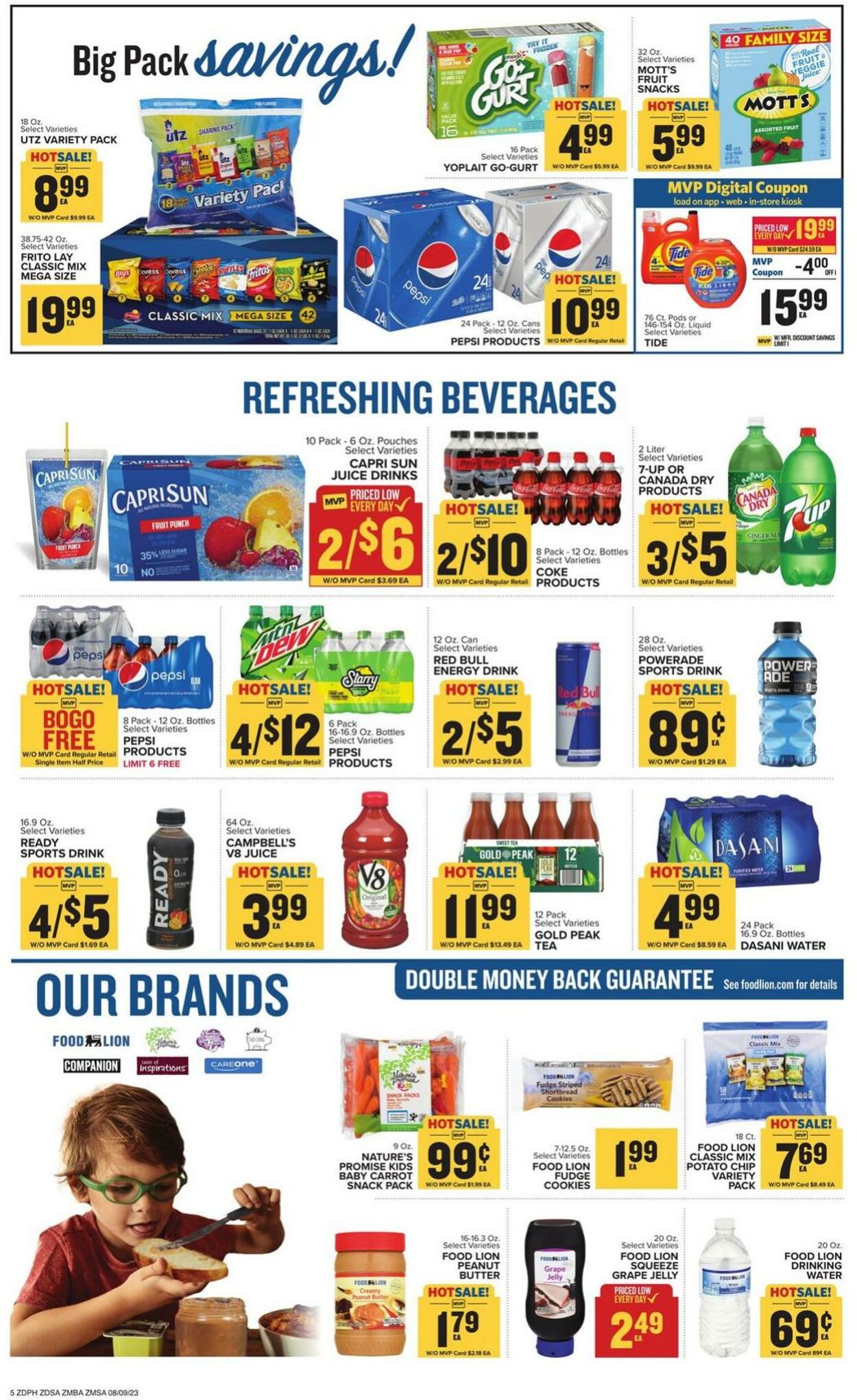 Catalogue Food Lion from 08/09/2023