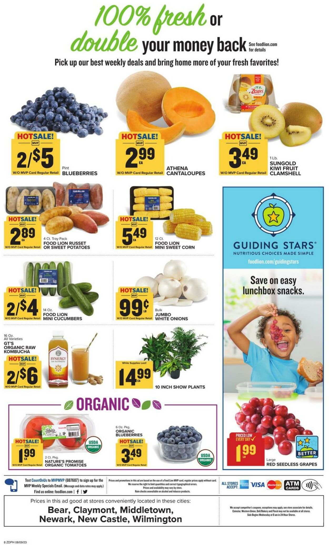 Catalogue Food Lion from 08/09/2023