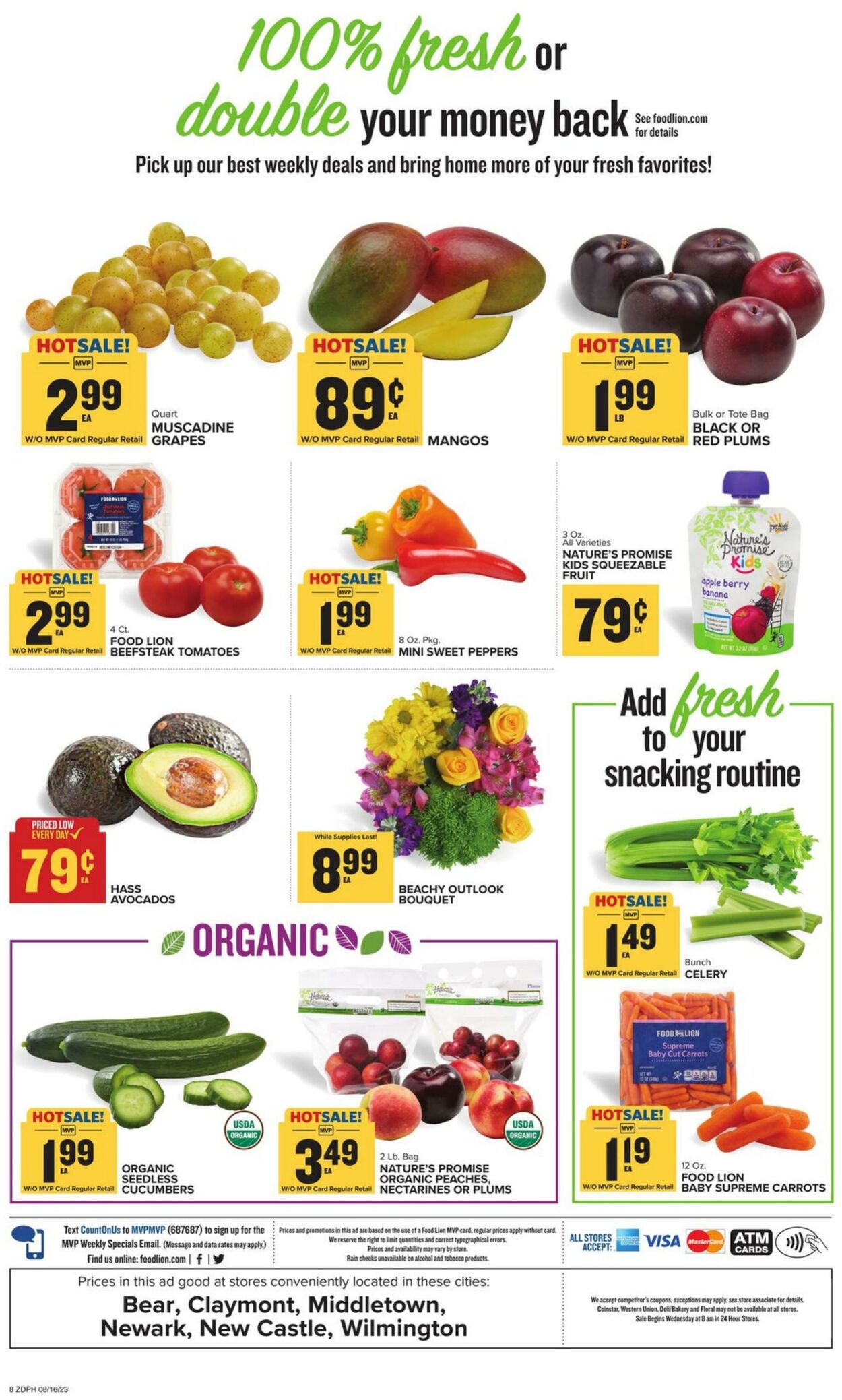 Catalogue Food Lion from 08/16/2023