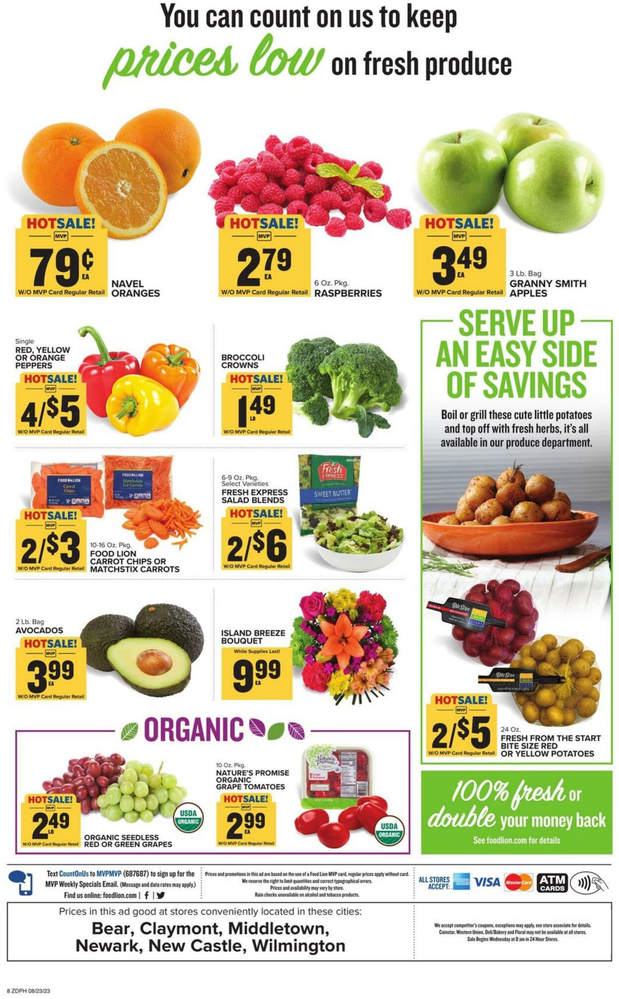 Catalogue Food Lion from 08/23/2023