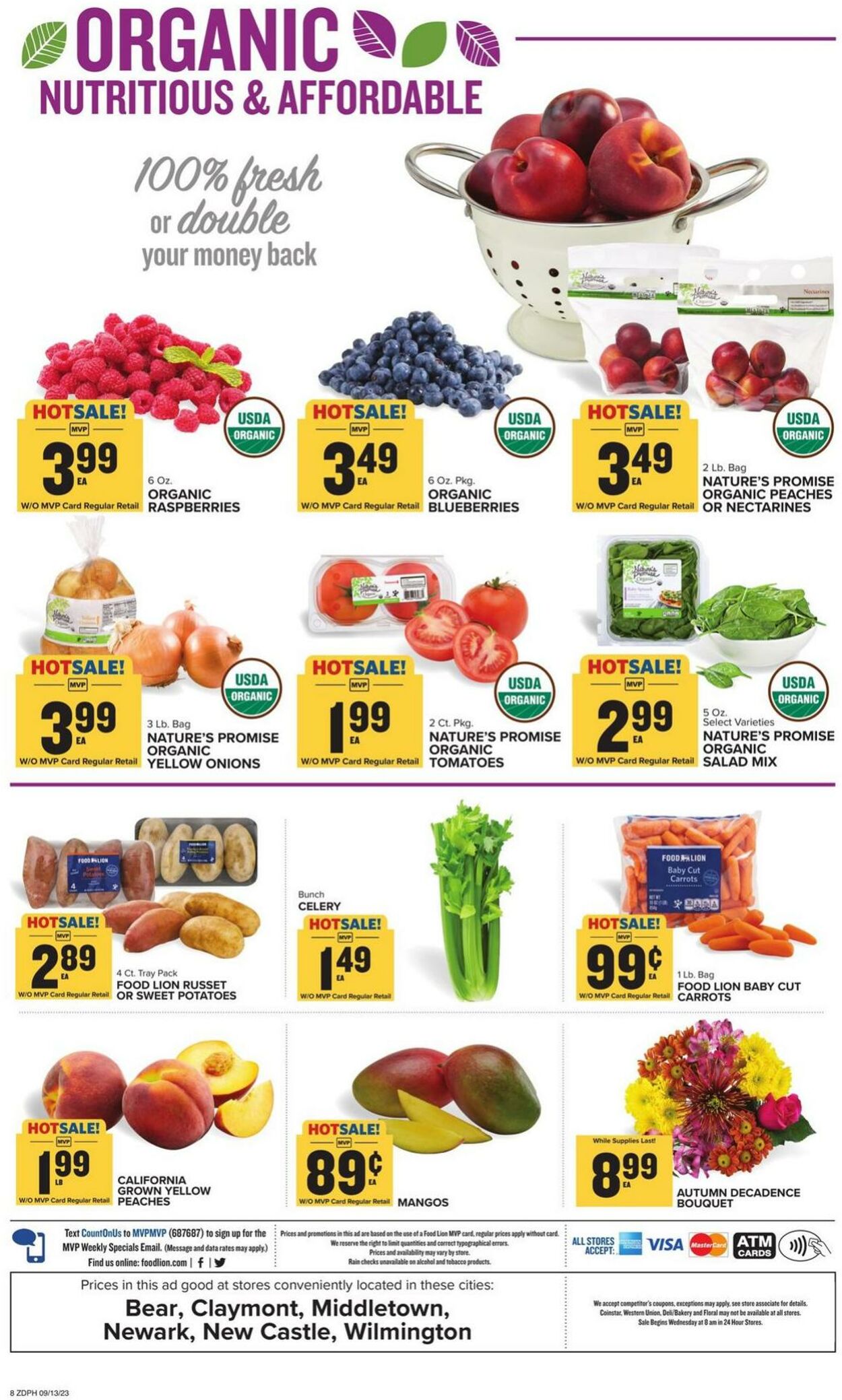 Catalogue Food Lion from 09/13/2023