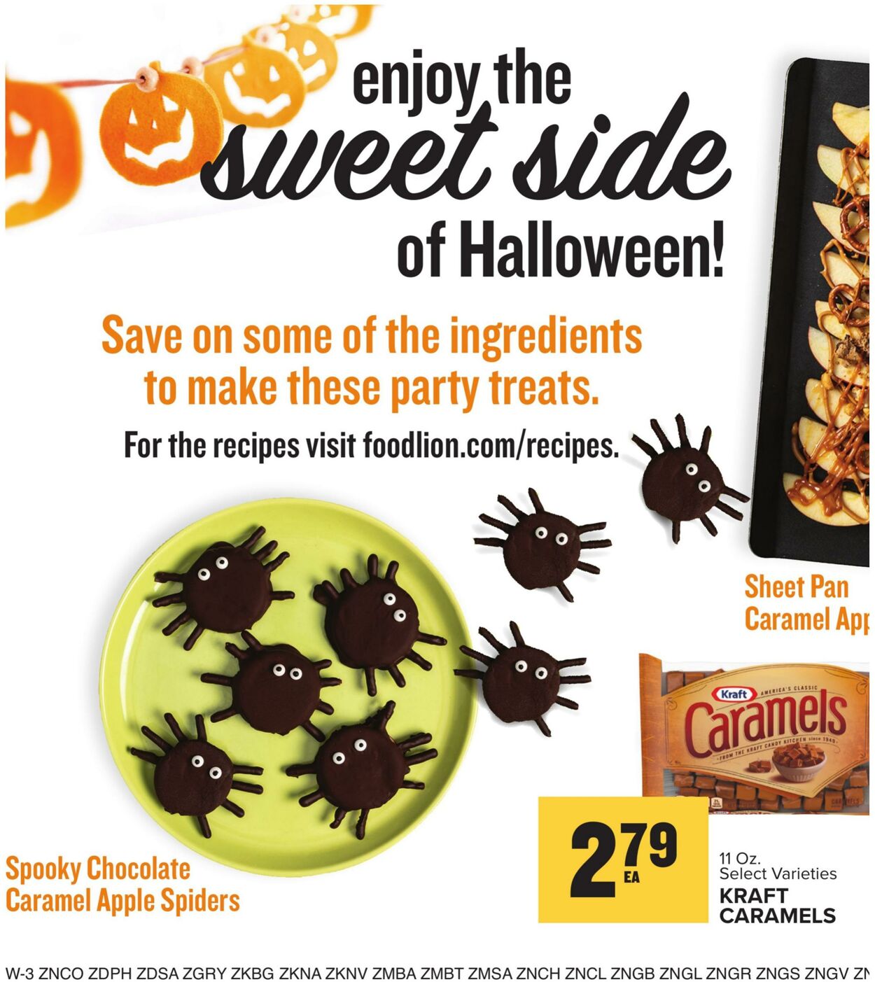 Catalogue Food Lion from 10/11/2023