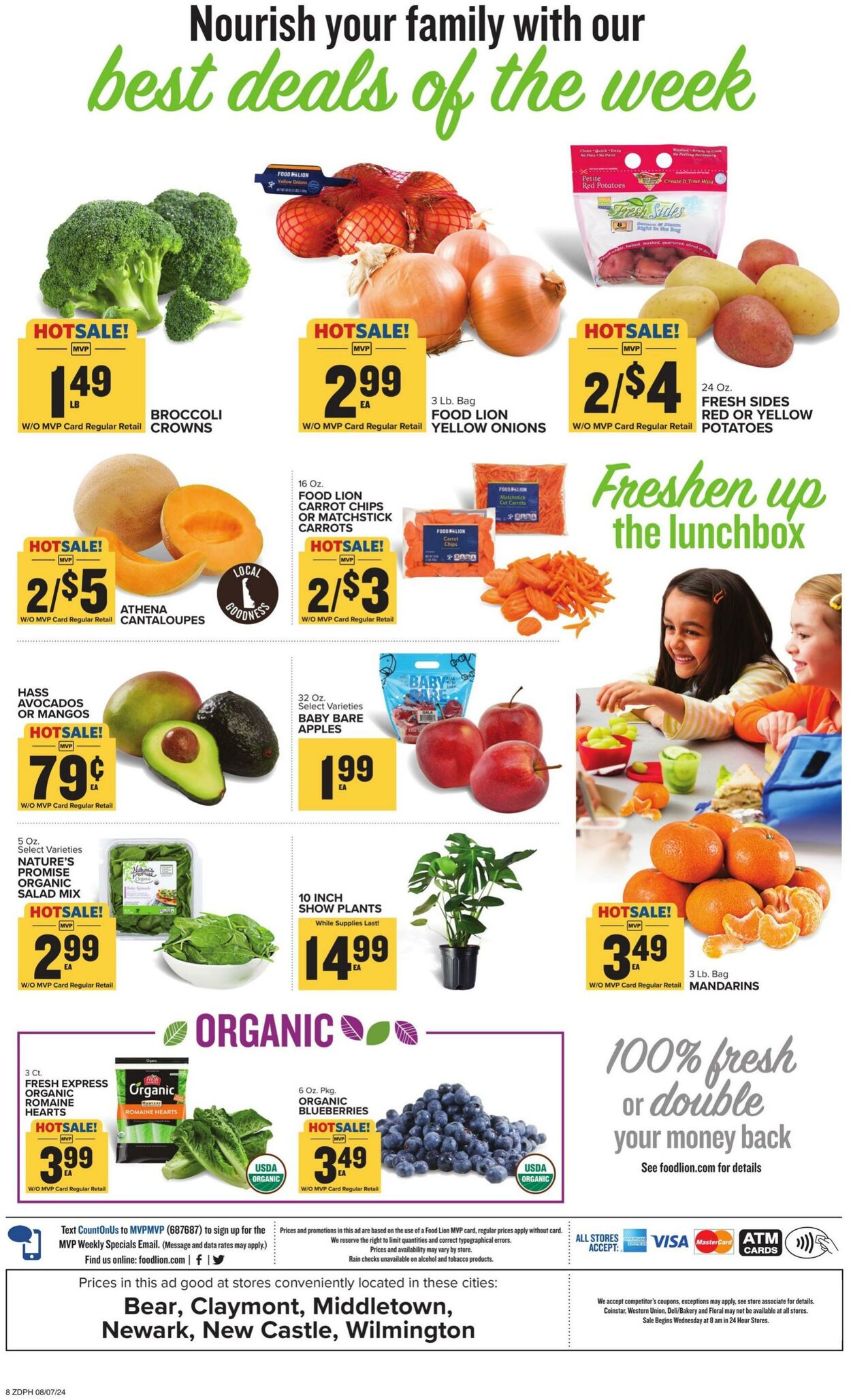 Catalogue Food Lion from 08/07/2024