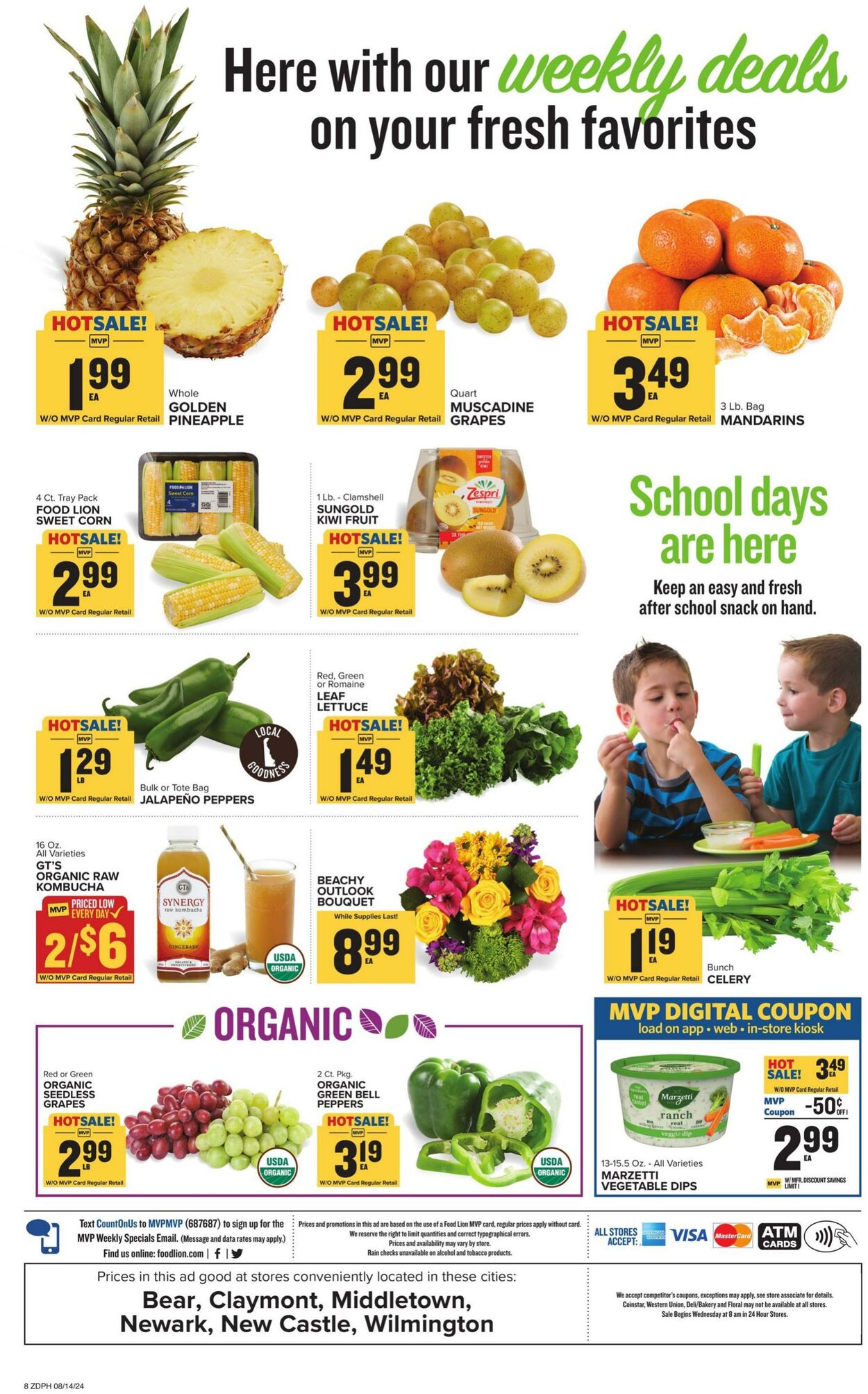 Catalogue Food Lion from 08/14/2024