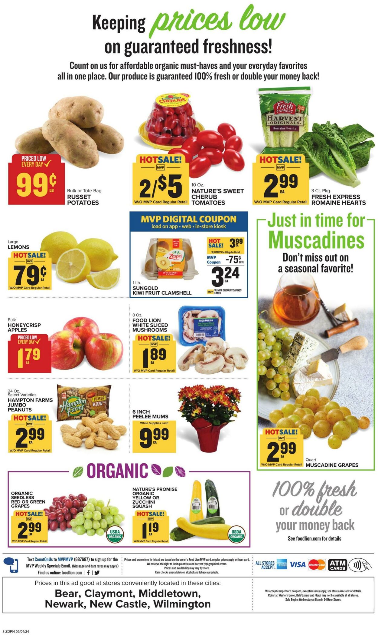 Catalogue Food Lion from 09/04/2024