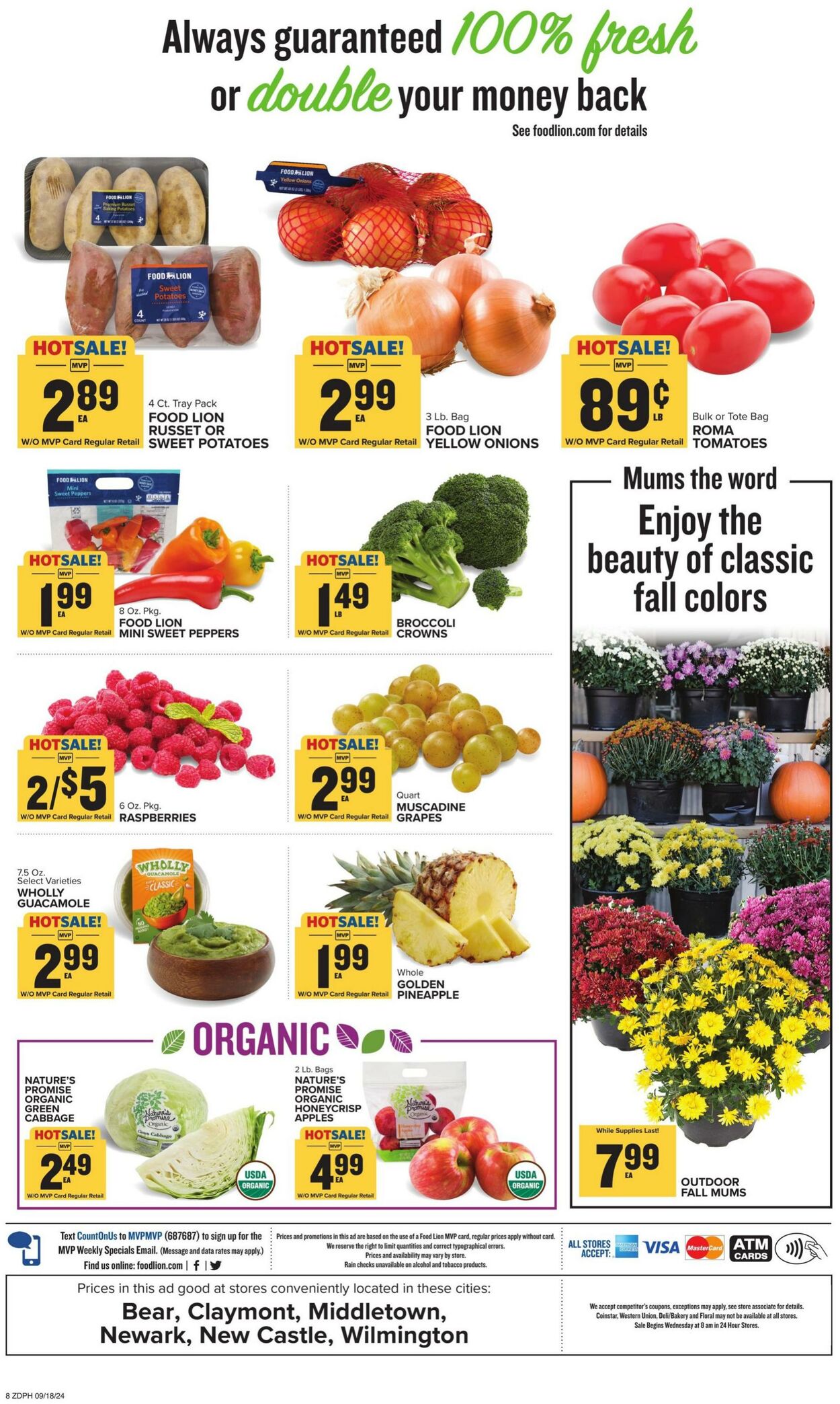 Catalogue Food Lion from 09/18/2024