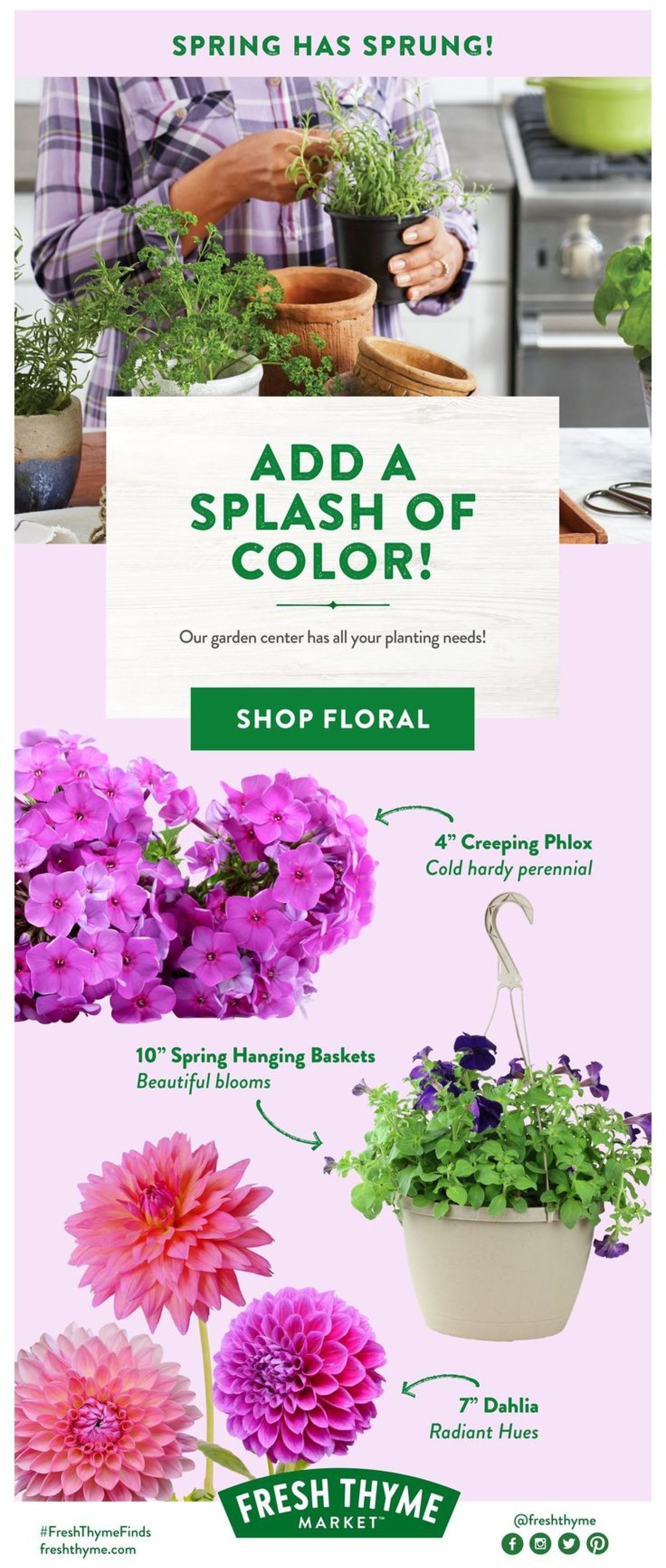 Catalogue Fresh Thyme from 05/19/2021
