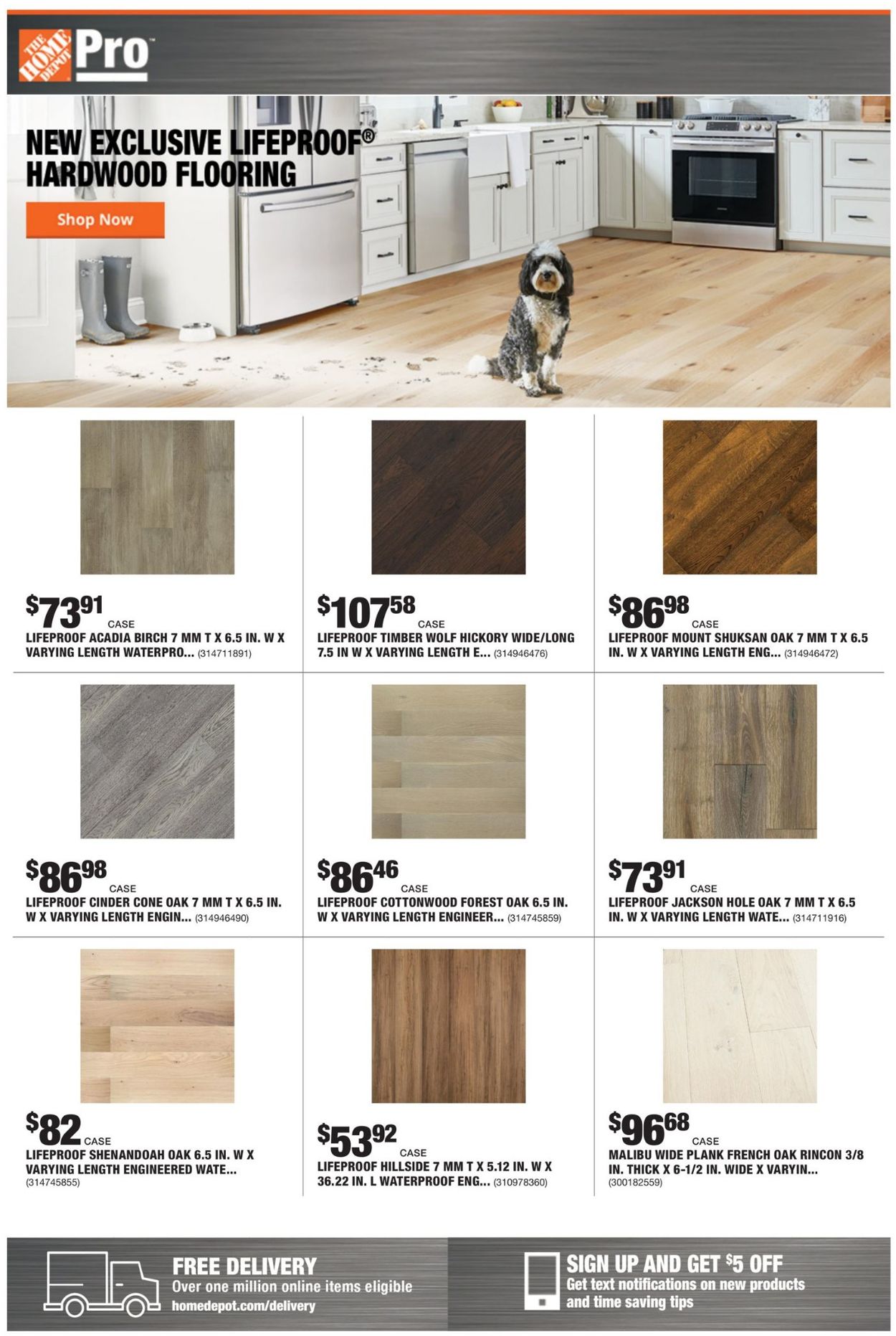 Catalogue Home Depot from 02/22/2021