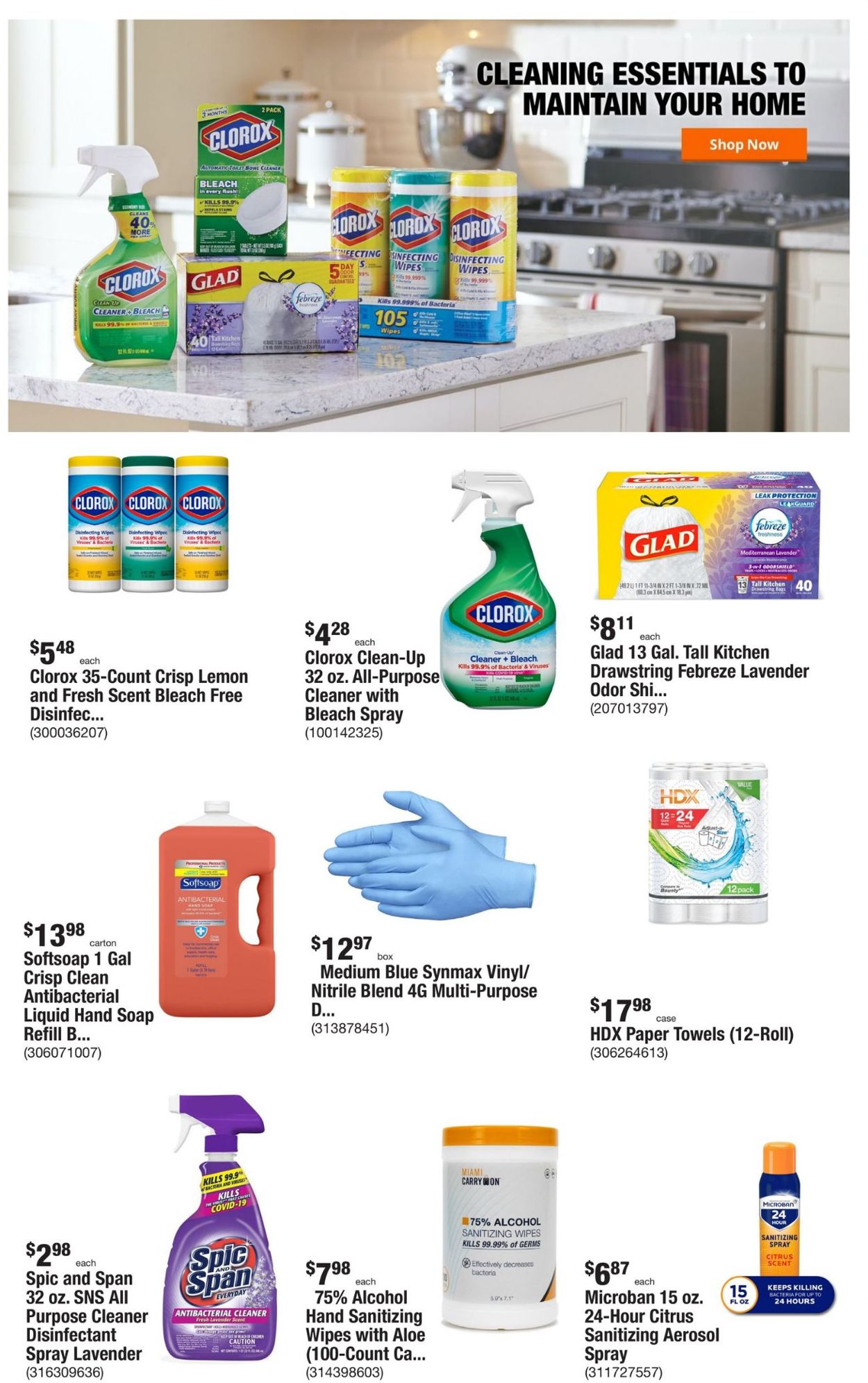 Catalogue Home Depot from 01/13/2022