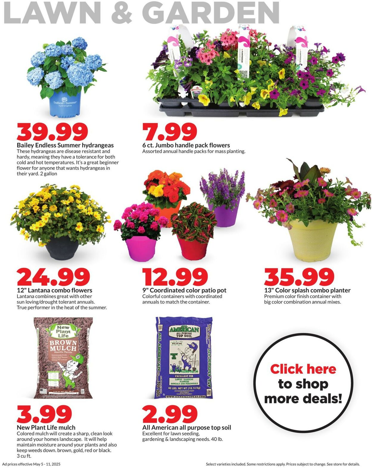 Catalogue HyVee from 05/05/2025