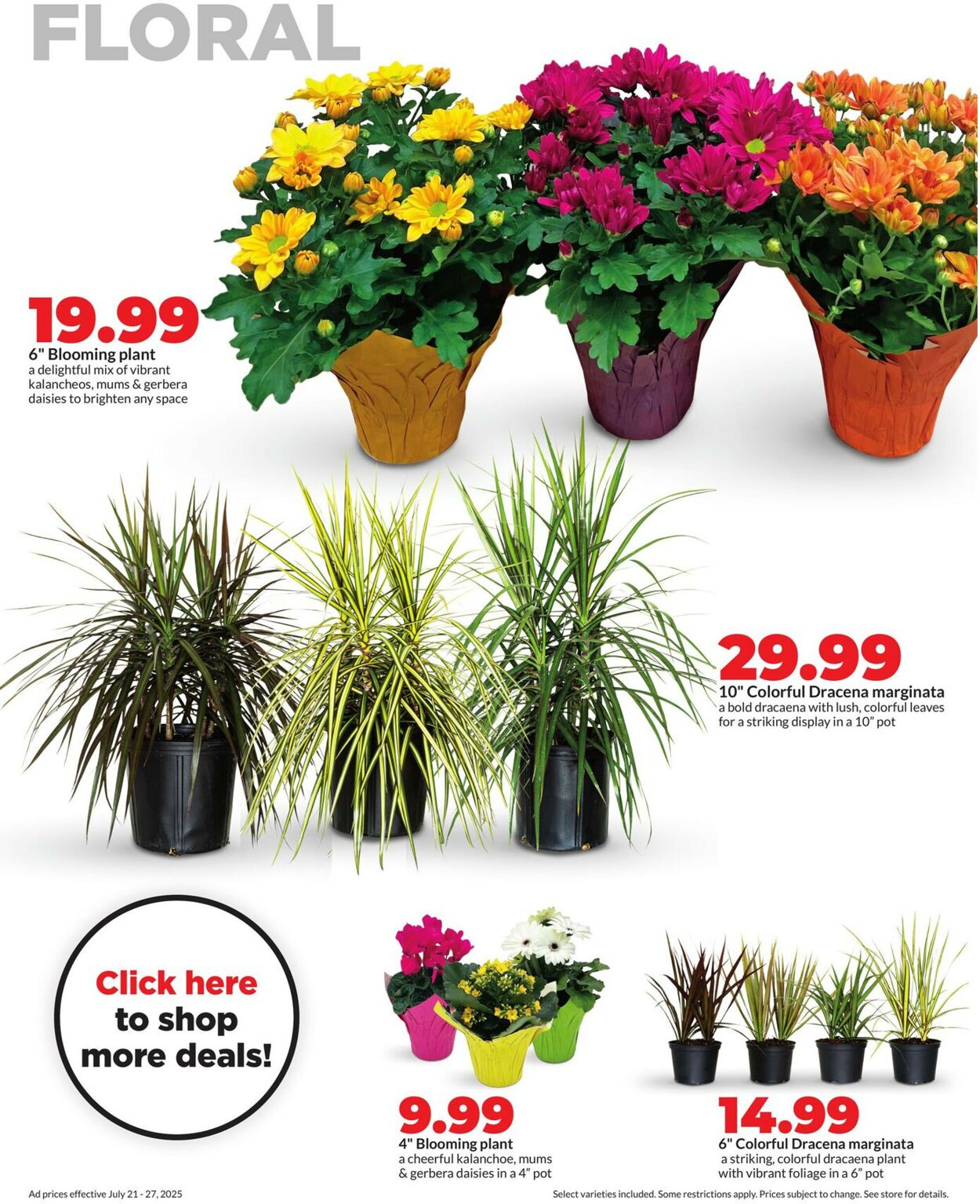 Catalogue HyVee from 07/21/2025