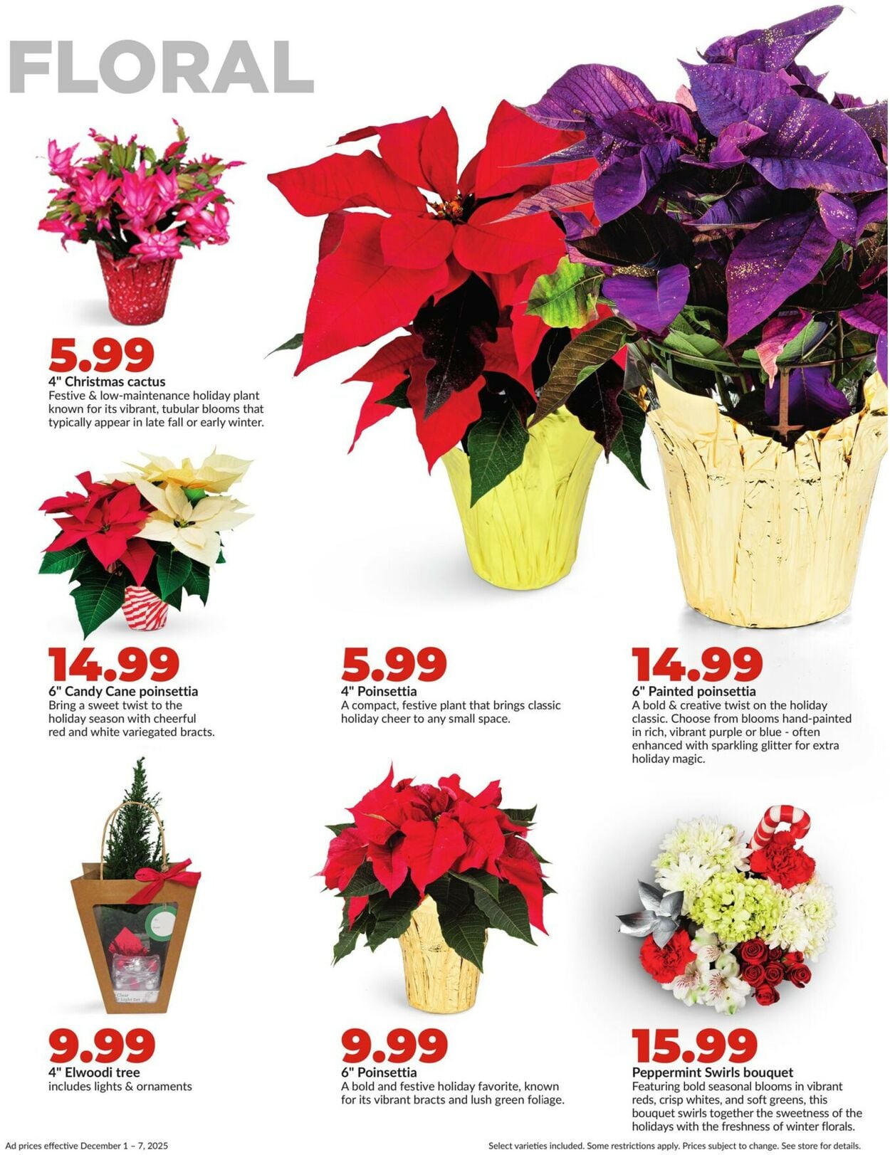 Catalogue HyVee from 12/01/2025
