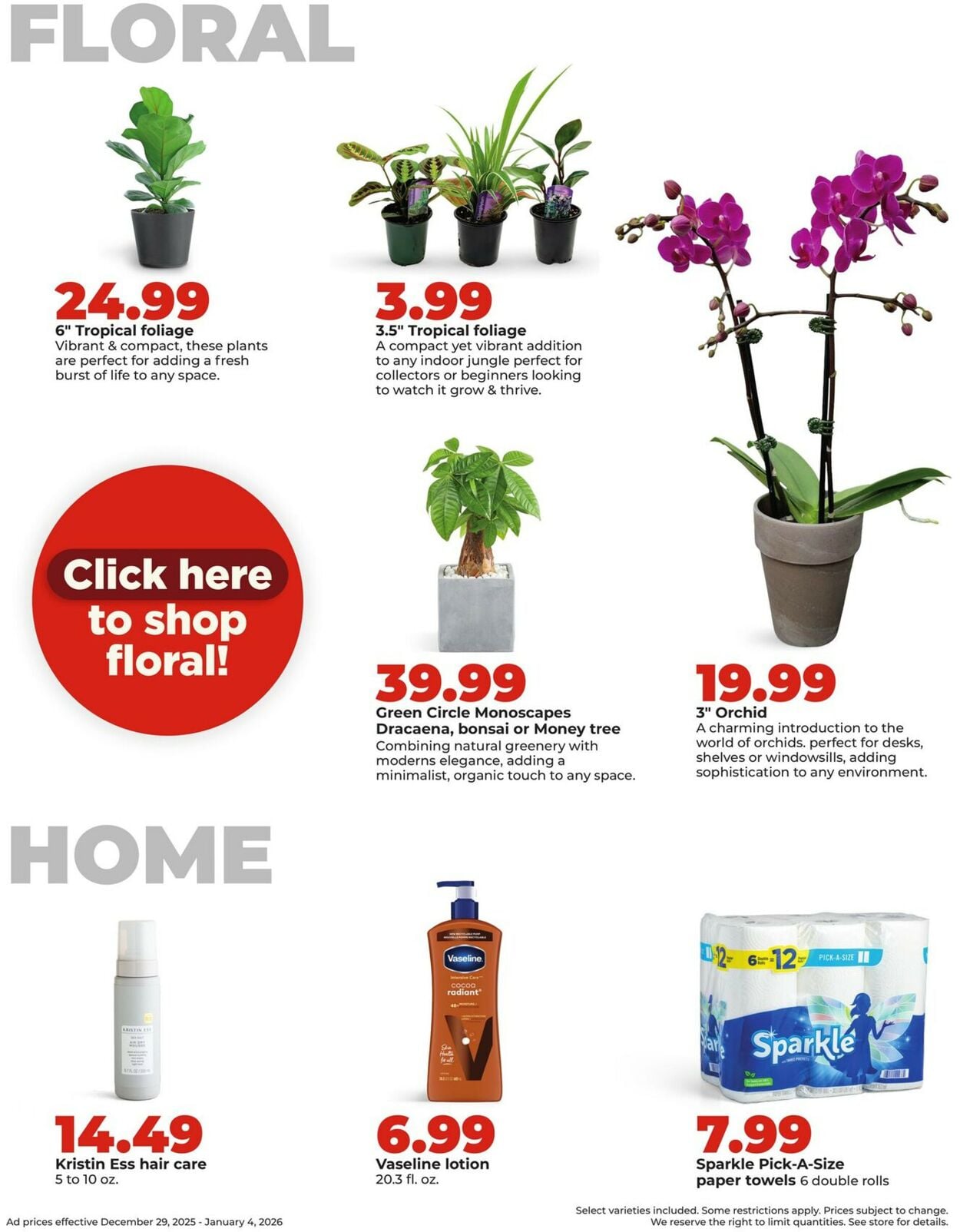 Catalogue HyVee from 12/29/2025