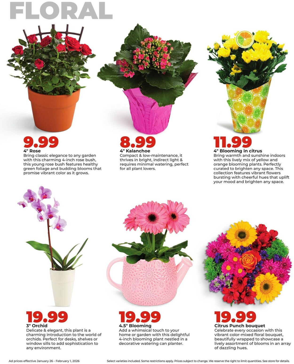 Catalogue HyVee from 01/26/2026