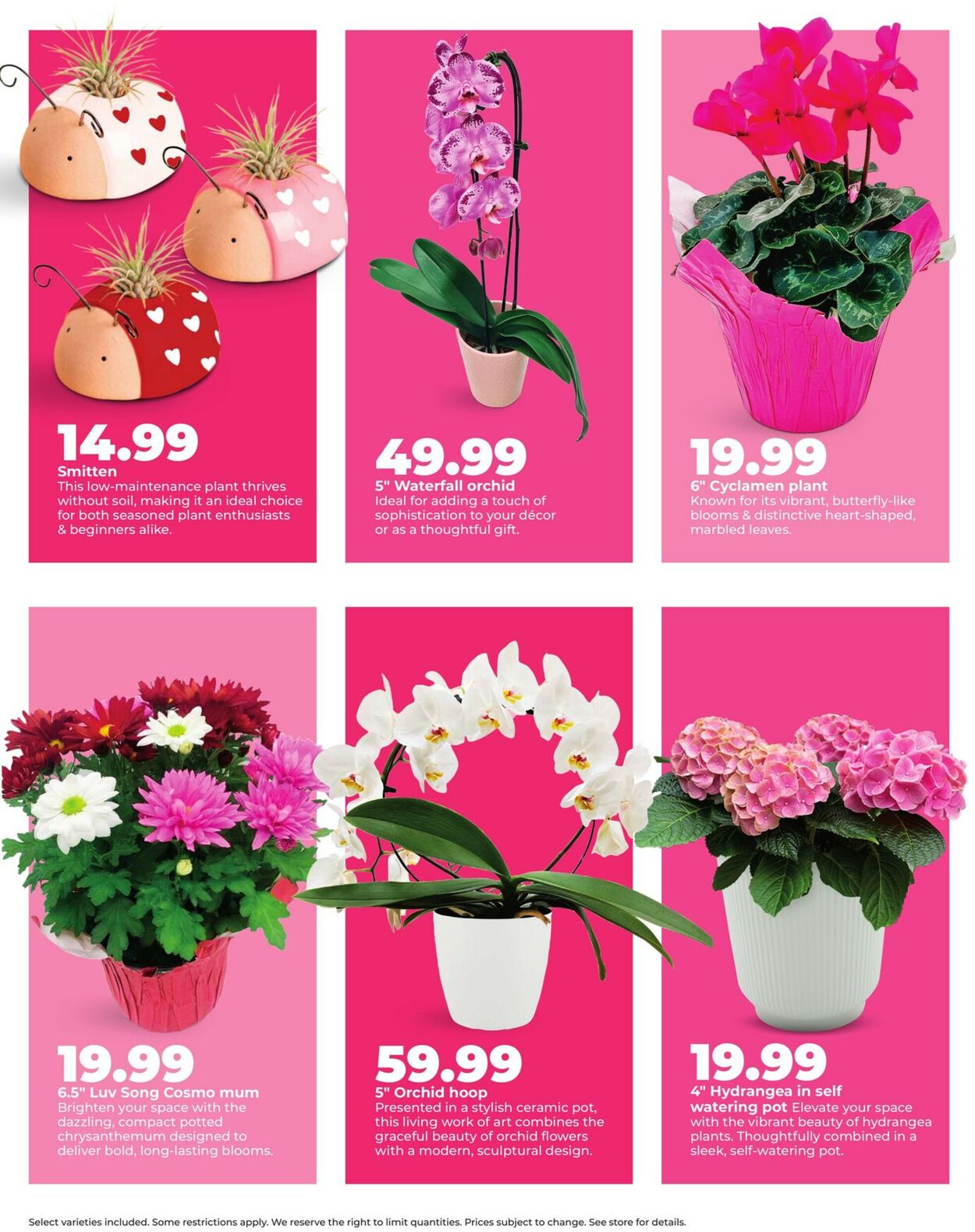 Catalogue HyVee from 02/02/2026