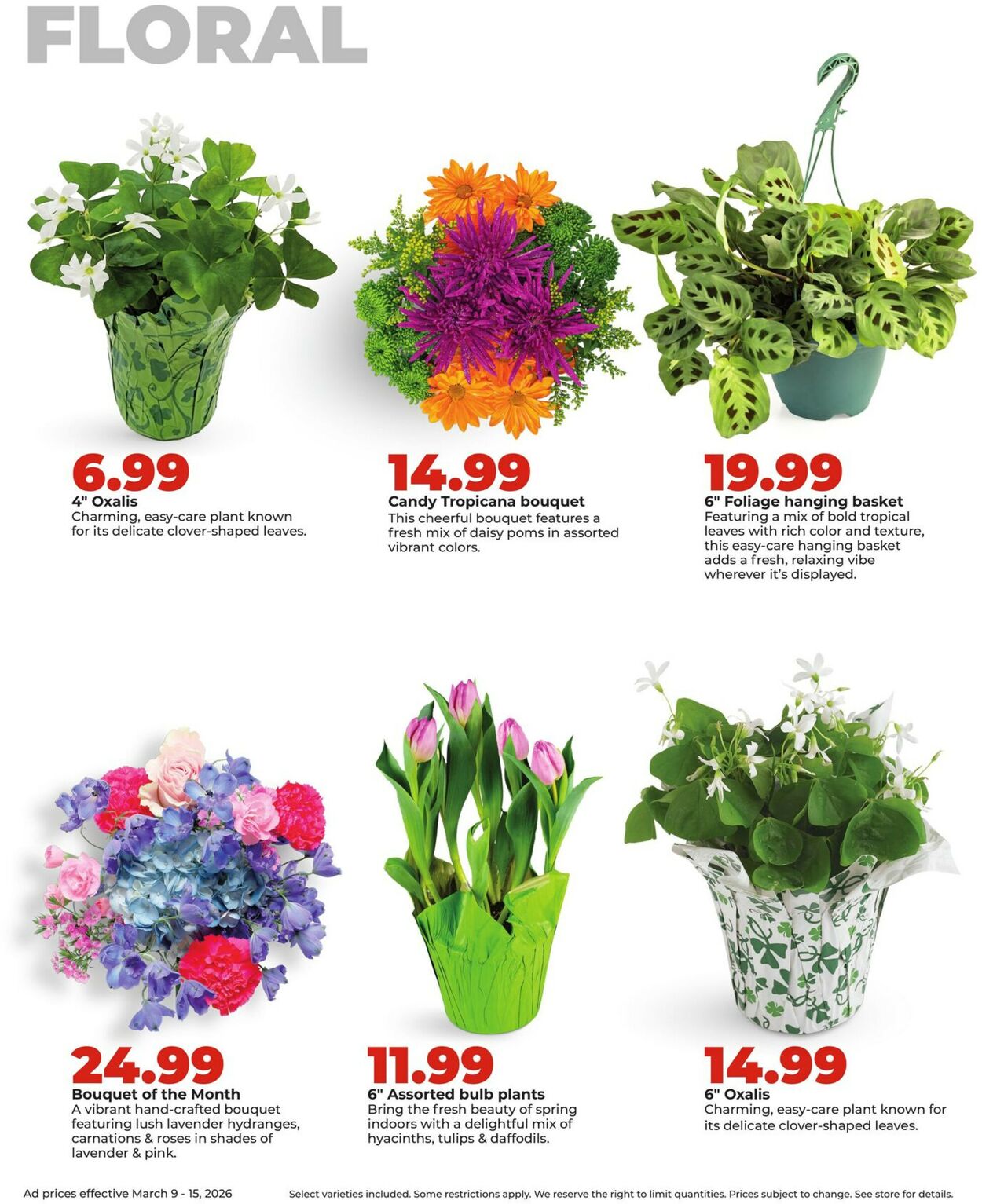 Catalogue HyVee from 03/09/2026