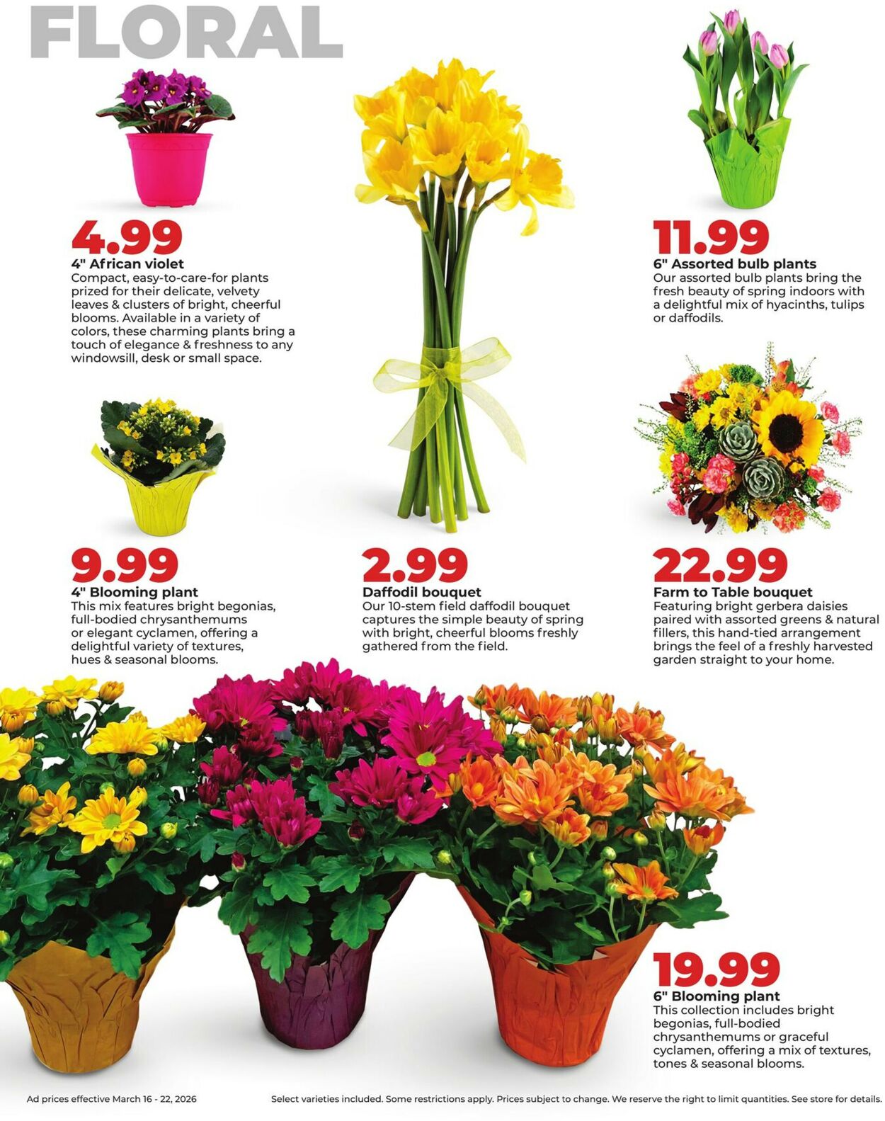 Catalogue HyVee from 03/16/2026