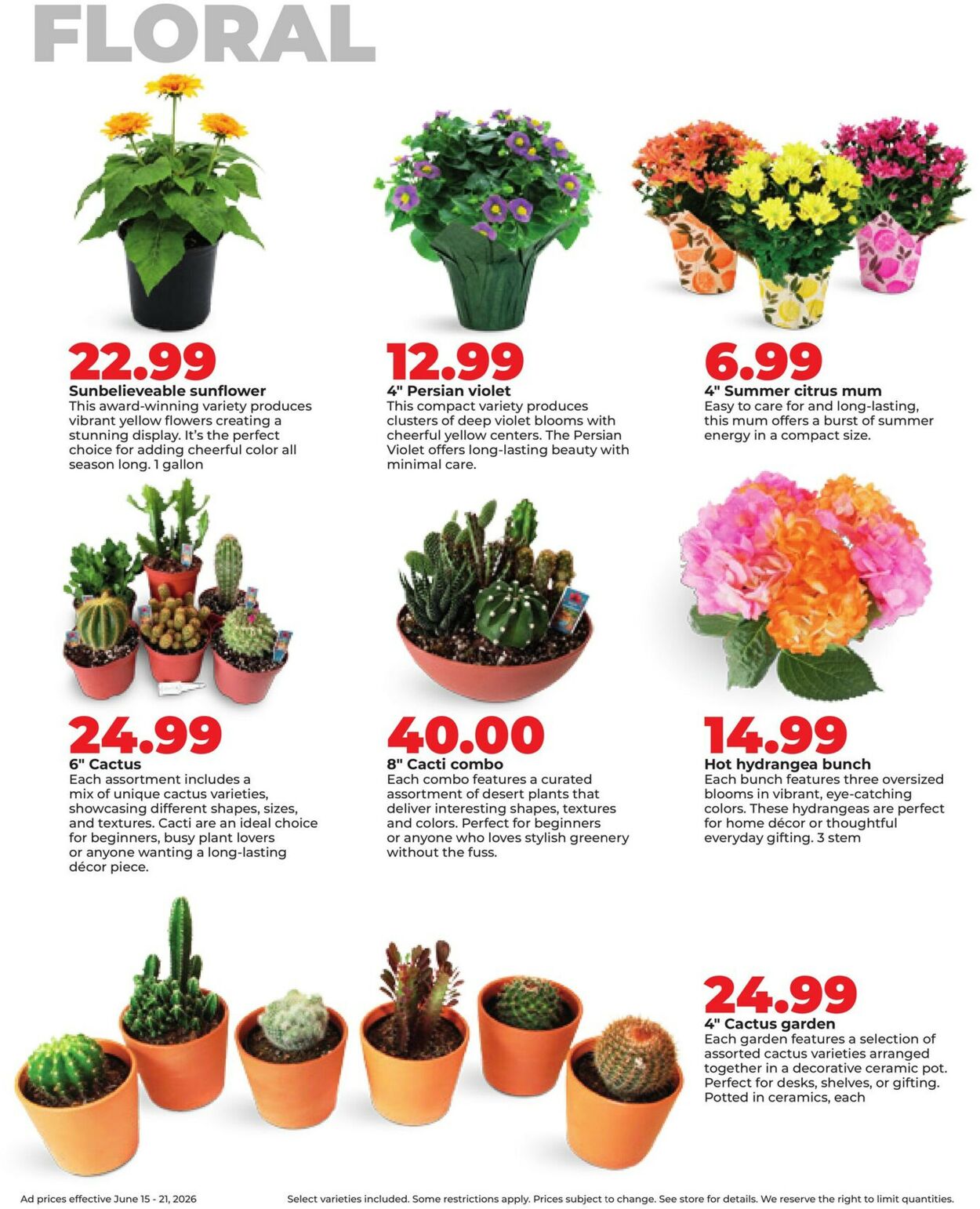 Catalogue HyVee from 06/15/2026