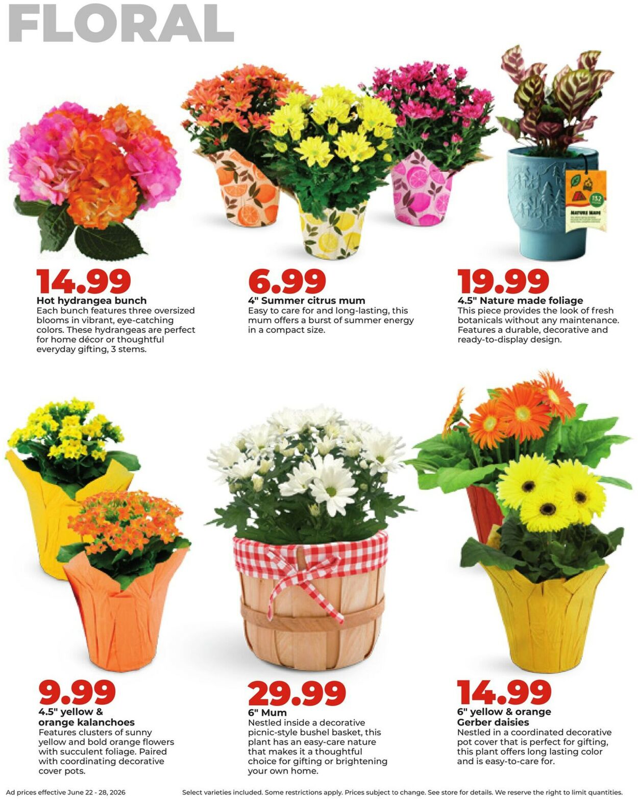 Catalogue HyVee from 06/22/2026