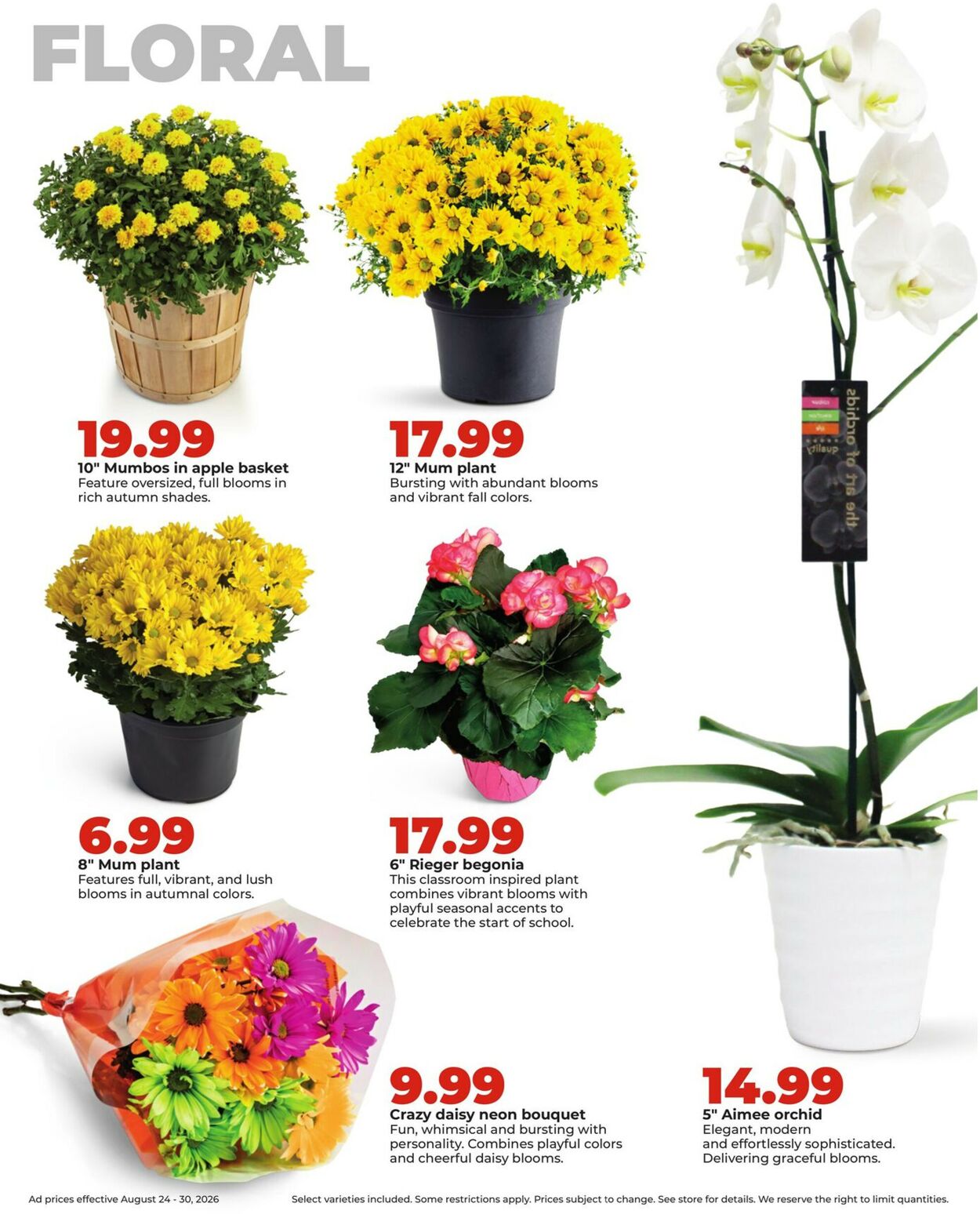 Catalogue HyVee from 08/24/2026