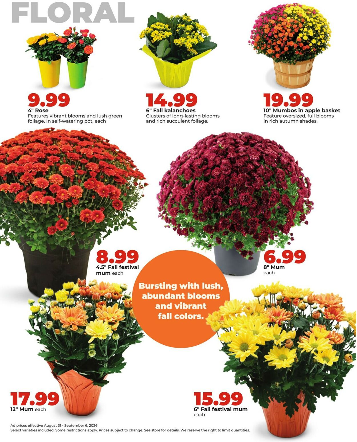 Catalogue HyVee from 08/31/2026