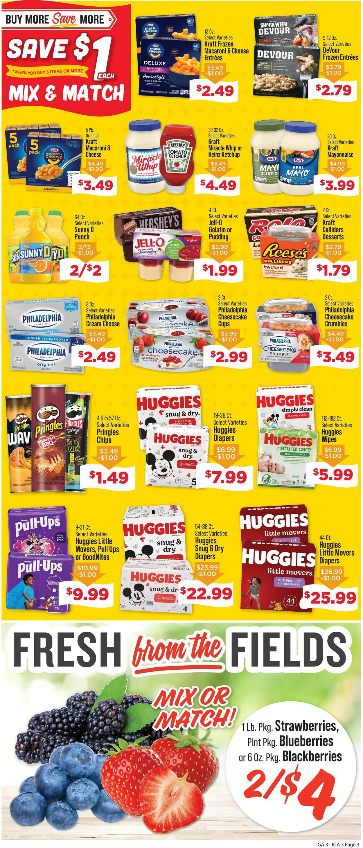 Catalogue IGA from 07/31/2024