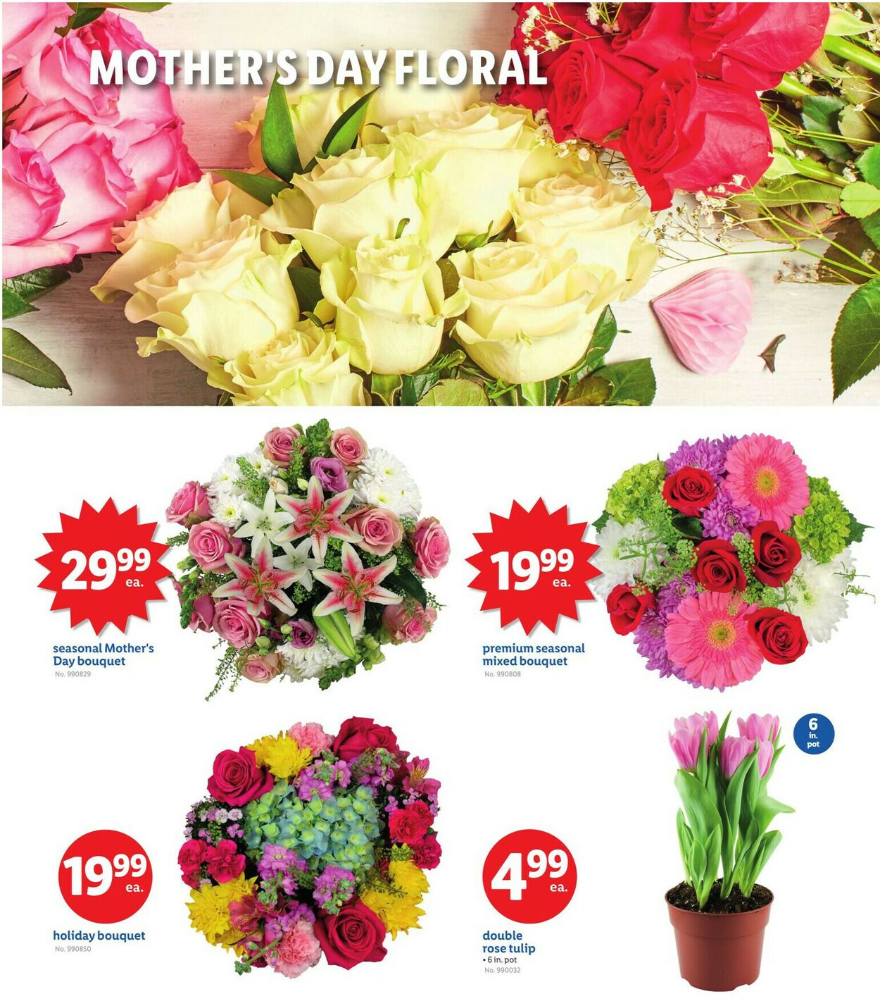 Catalogue Lidl from 05/09/2025