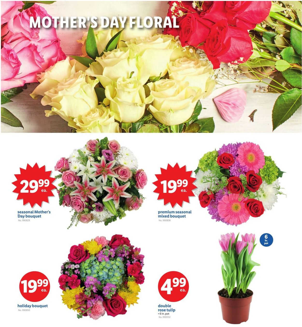 Catalogue Lidl from 05/09/2025