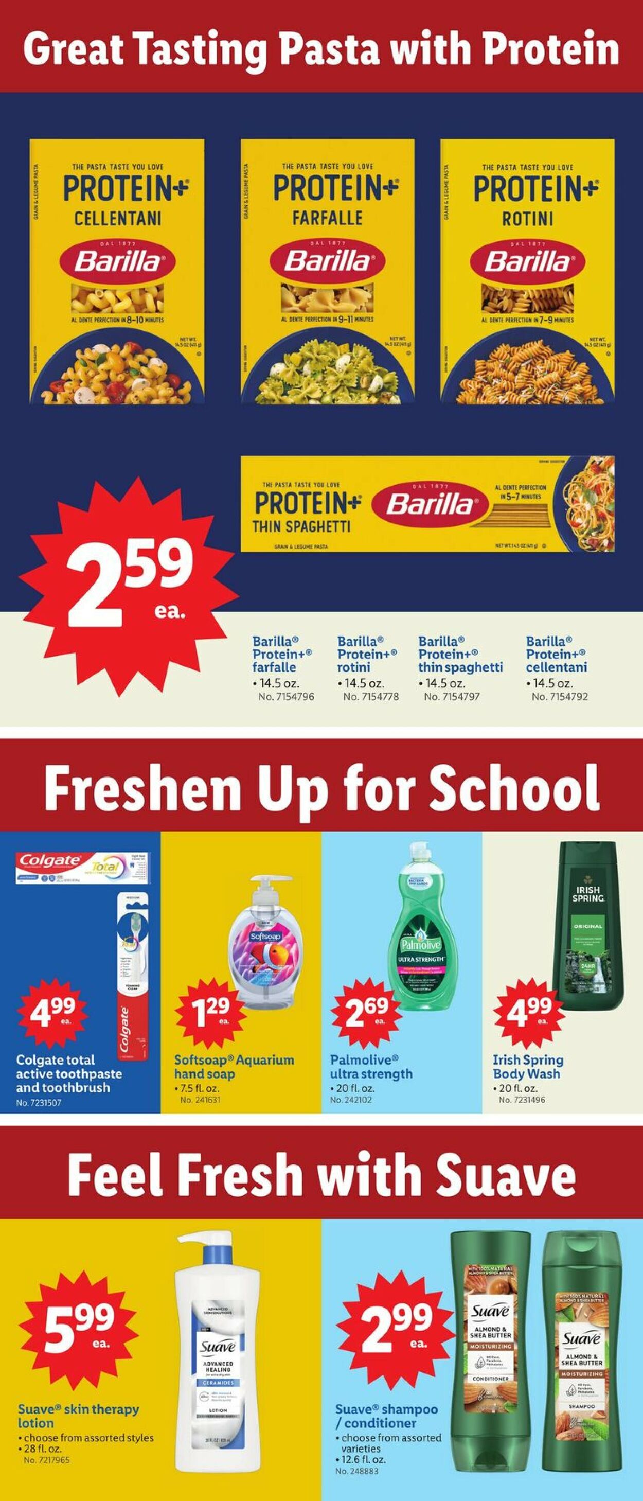Catalogue Lidl from 08/13/2025