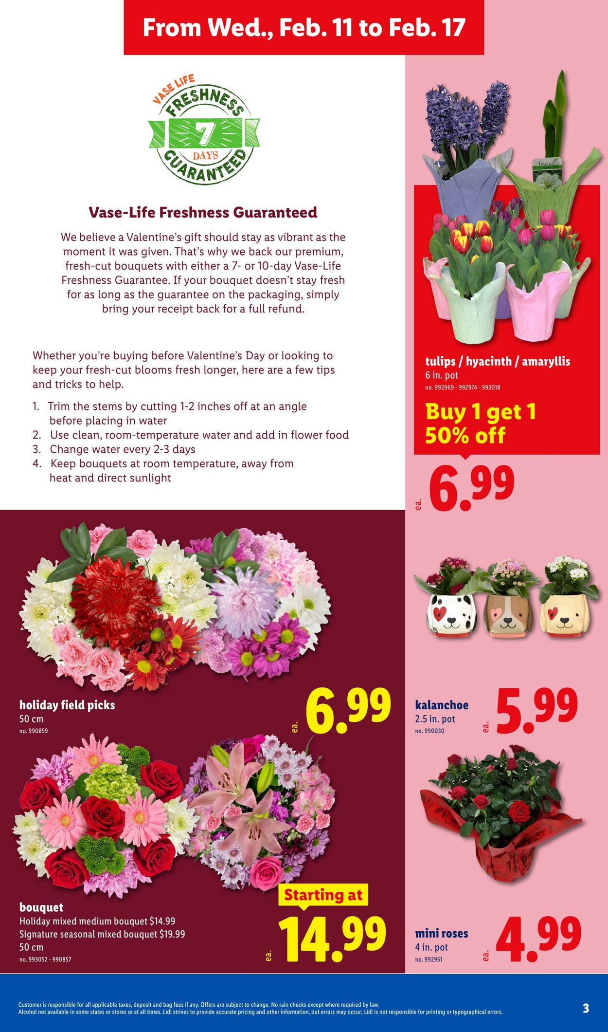 Catalogue Lidl from 02/11/2026