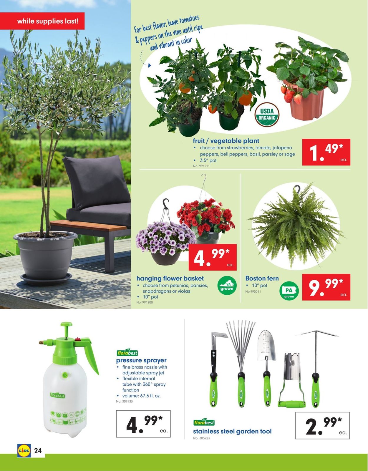 Catalogue Lidl from 04/24/2019