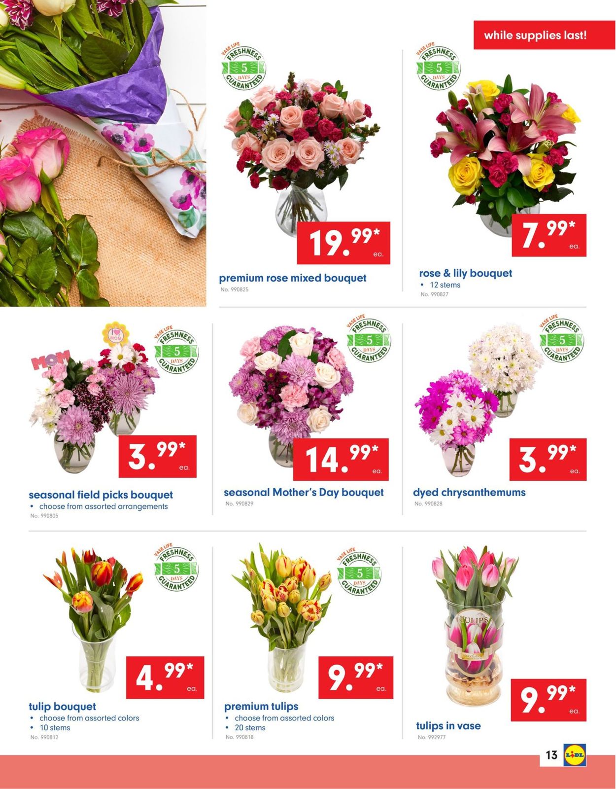 Catalogue Lidl from 05/08/2019