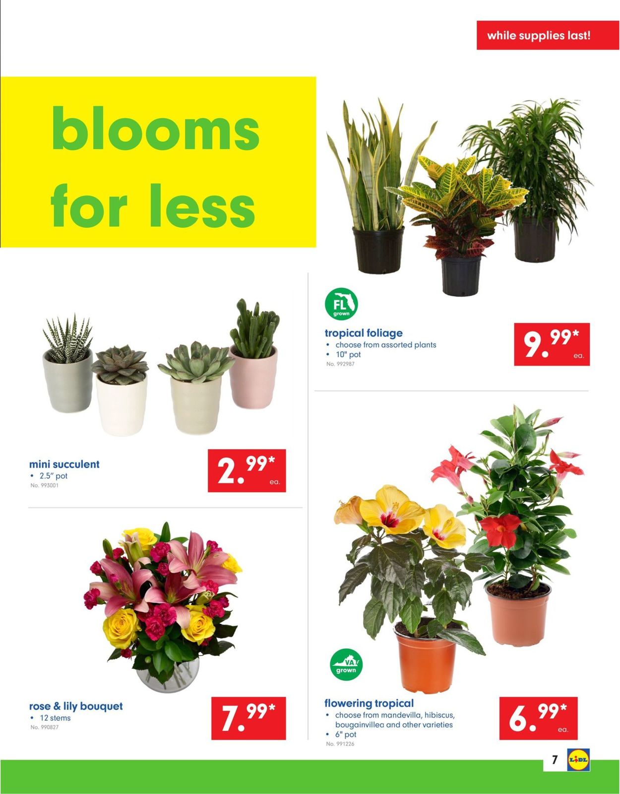 Catalogue Lidl from 05/15/2019