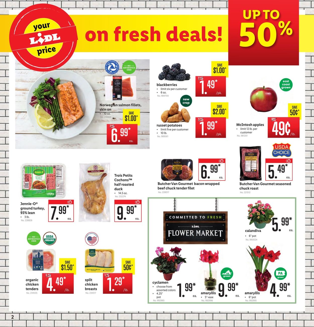 Catalogue Lidl - Christmas Ad 2019 from 11/13/2019