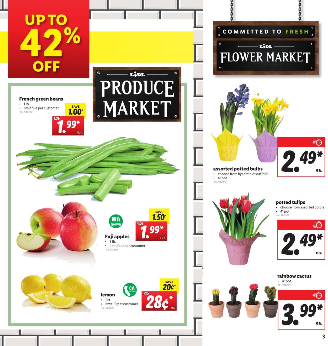 Catalogue Lidl from 01/22/2020