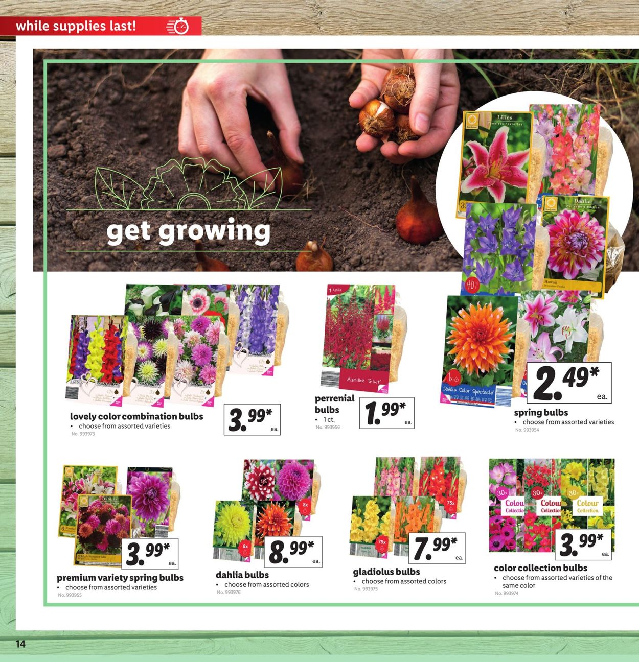 Catalogue Lidl from 03/04/2020