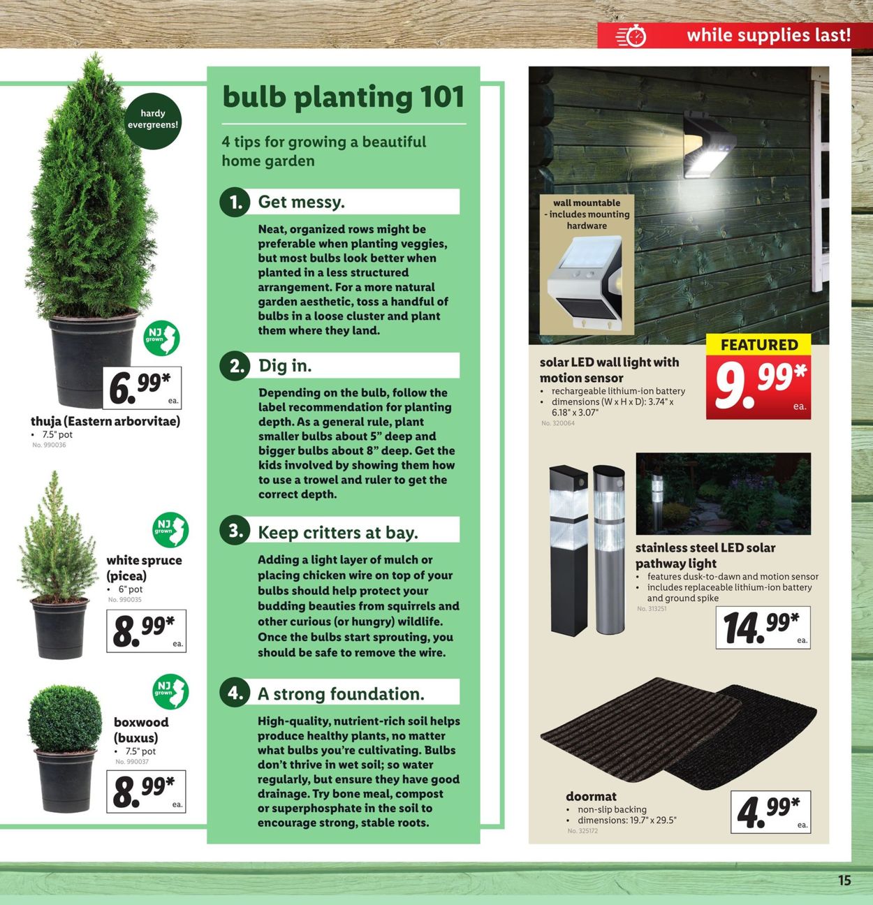 Catalogue Lidl from 03/04/2020