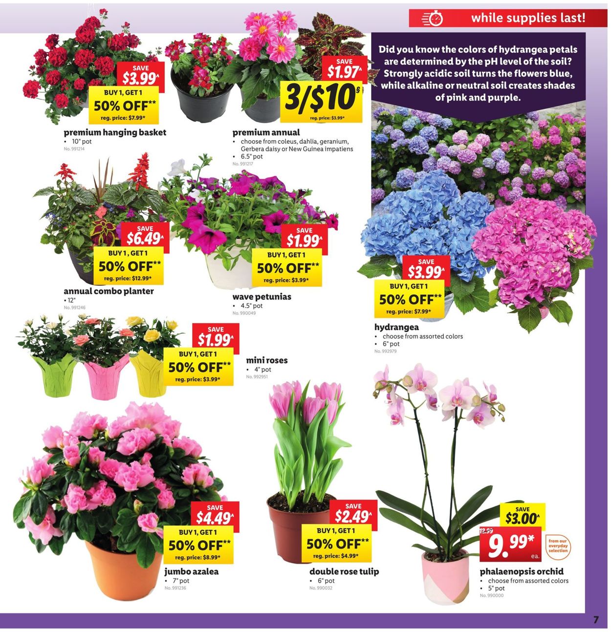 Catalogue Lidl from 05/06/2020