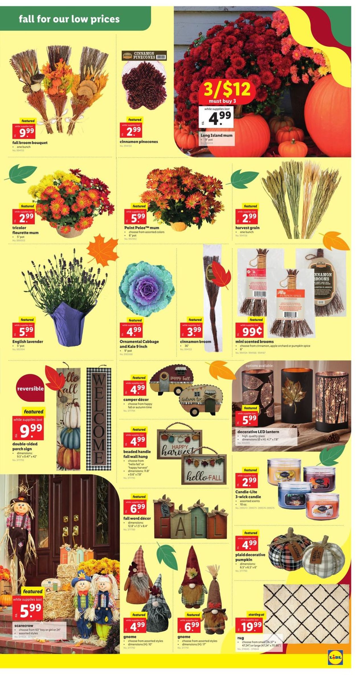 Catalogue Lidl from 09/15/2021