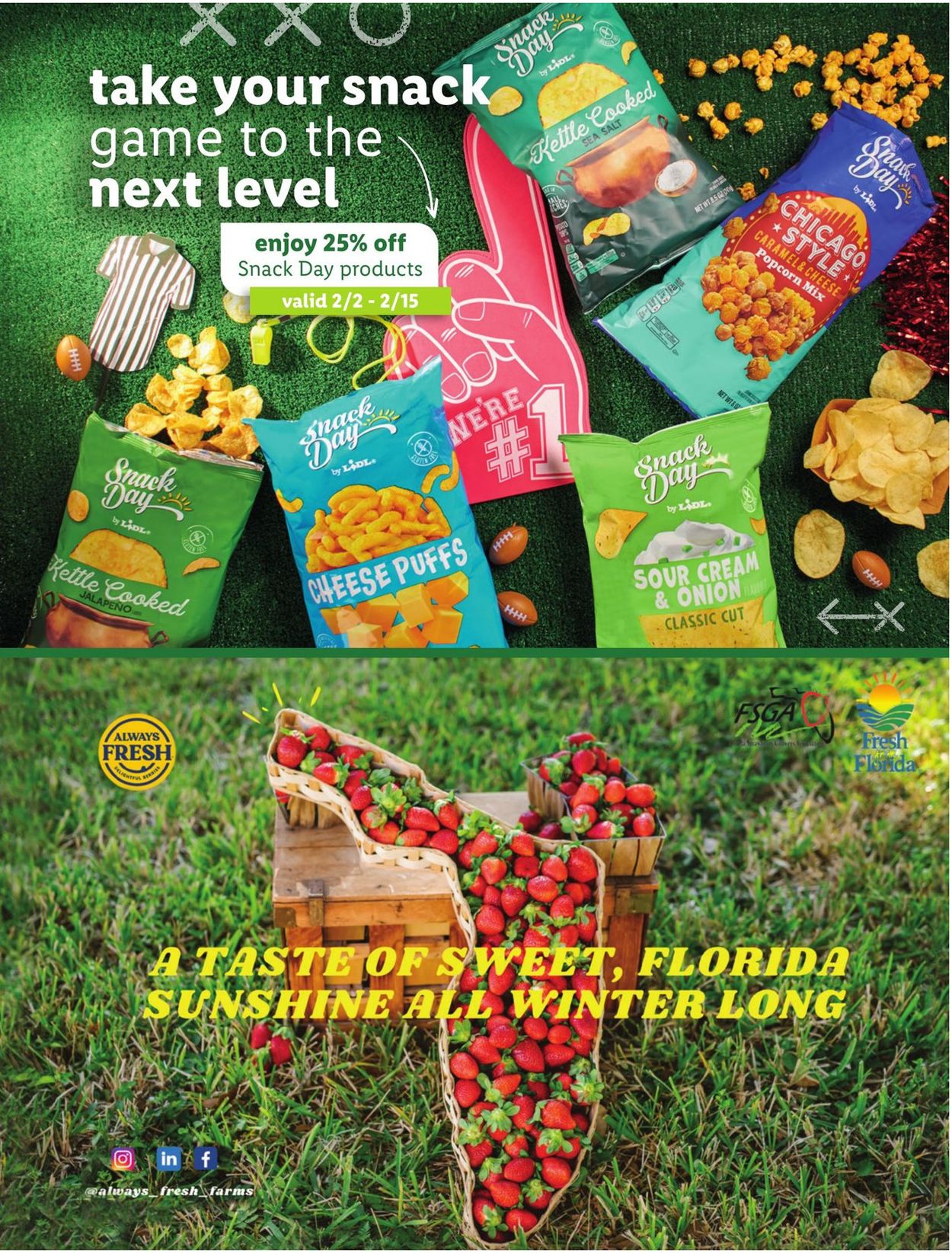 Catalogue Lidl from 02/02/2022